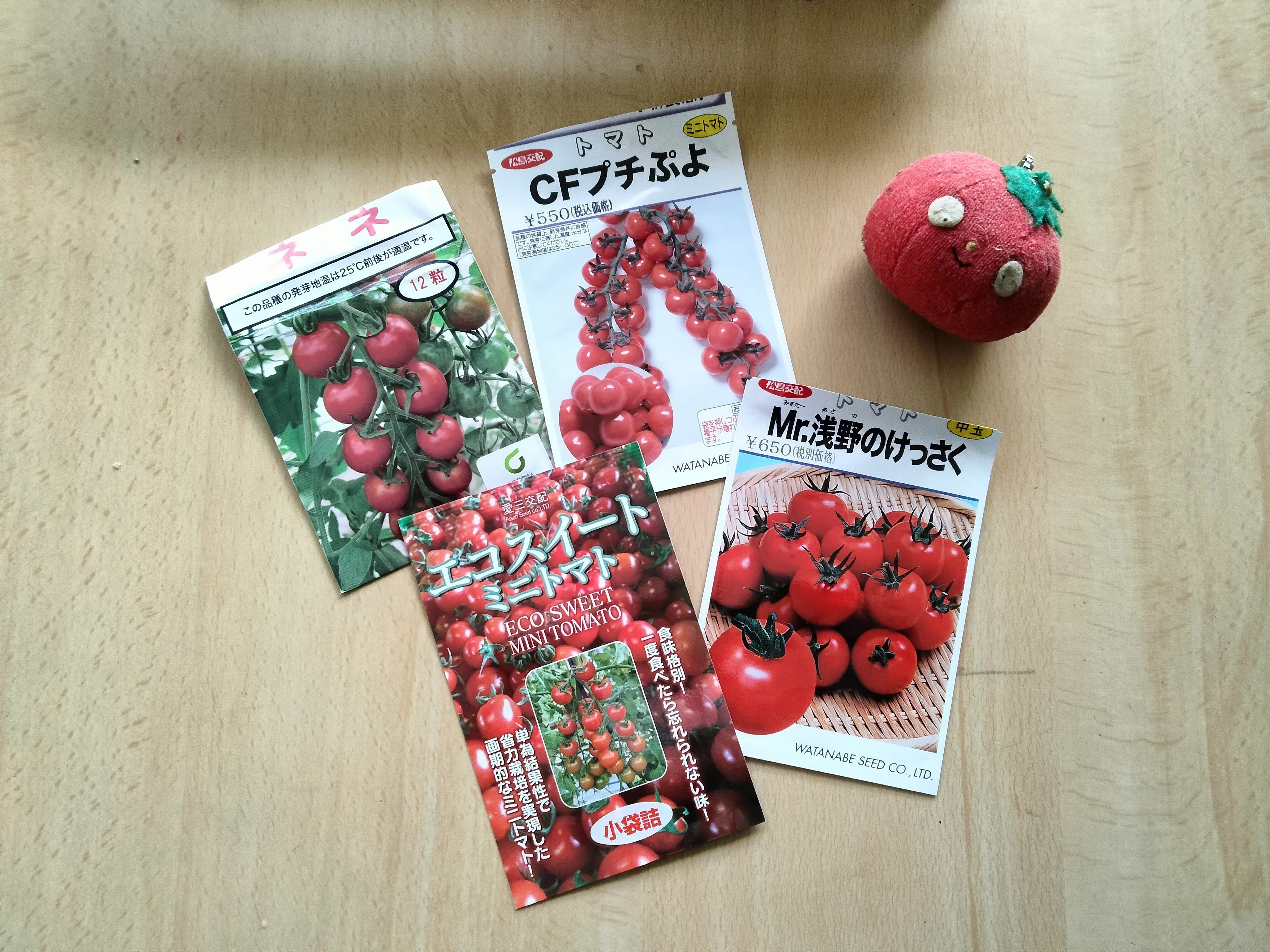 巨木トマト栽培日誌② 播種・育苗｜とまとん母さんの水耕栽培いろんなこと