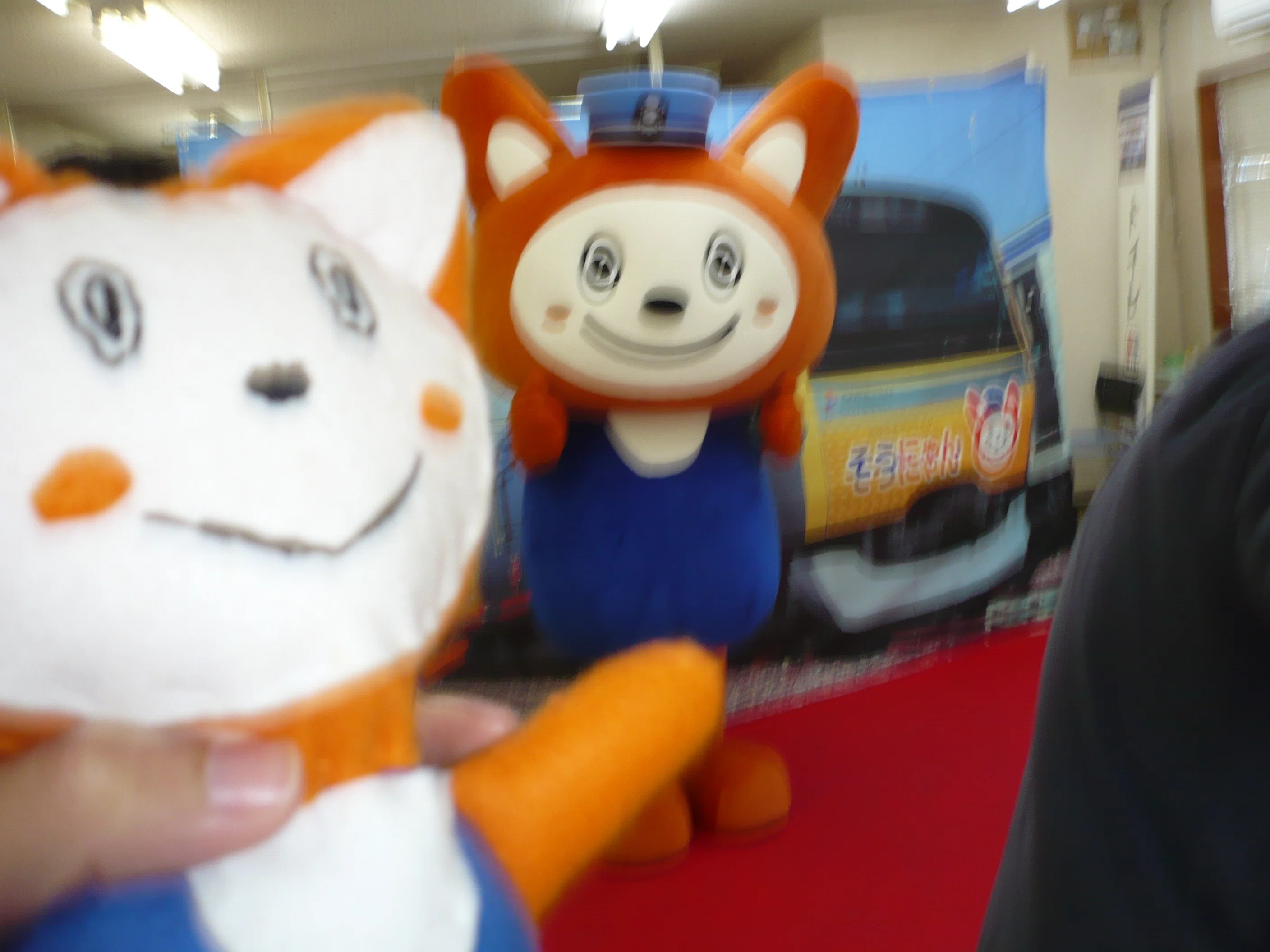 そうにゃんメモリー 7号 ～MIRAIへ出発進行～｜西沢