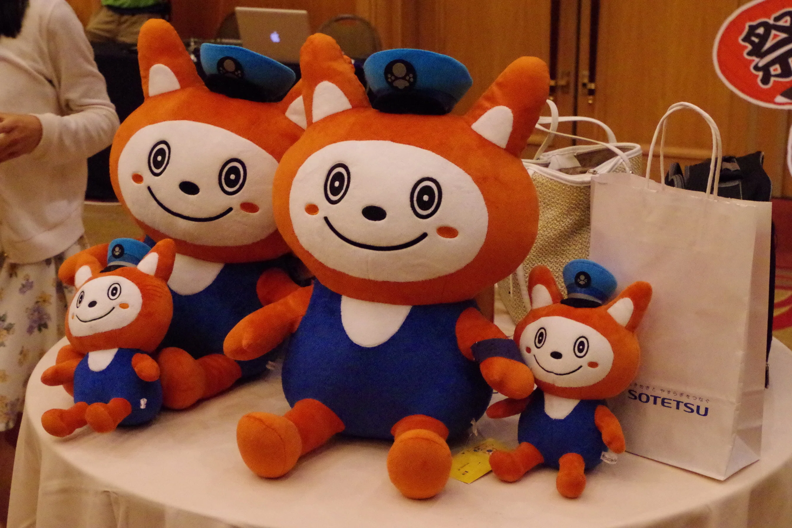 そうにゃんメモリー 7号 ～MIRAIへ出発進行～｜西沢