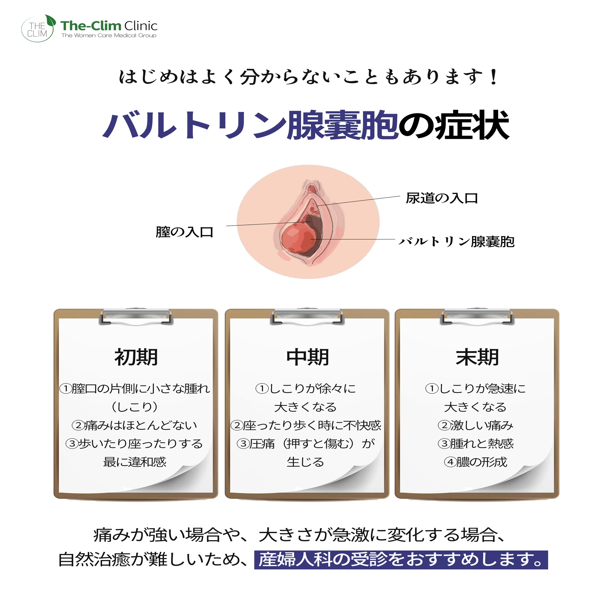 バルトリン 腺 嚢胞 写真
