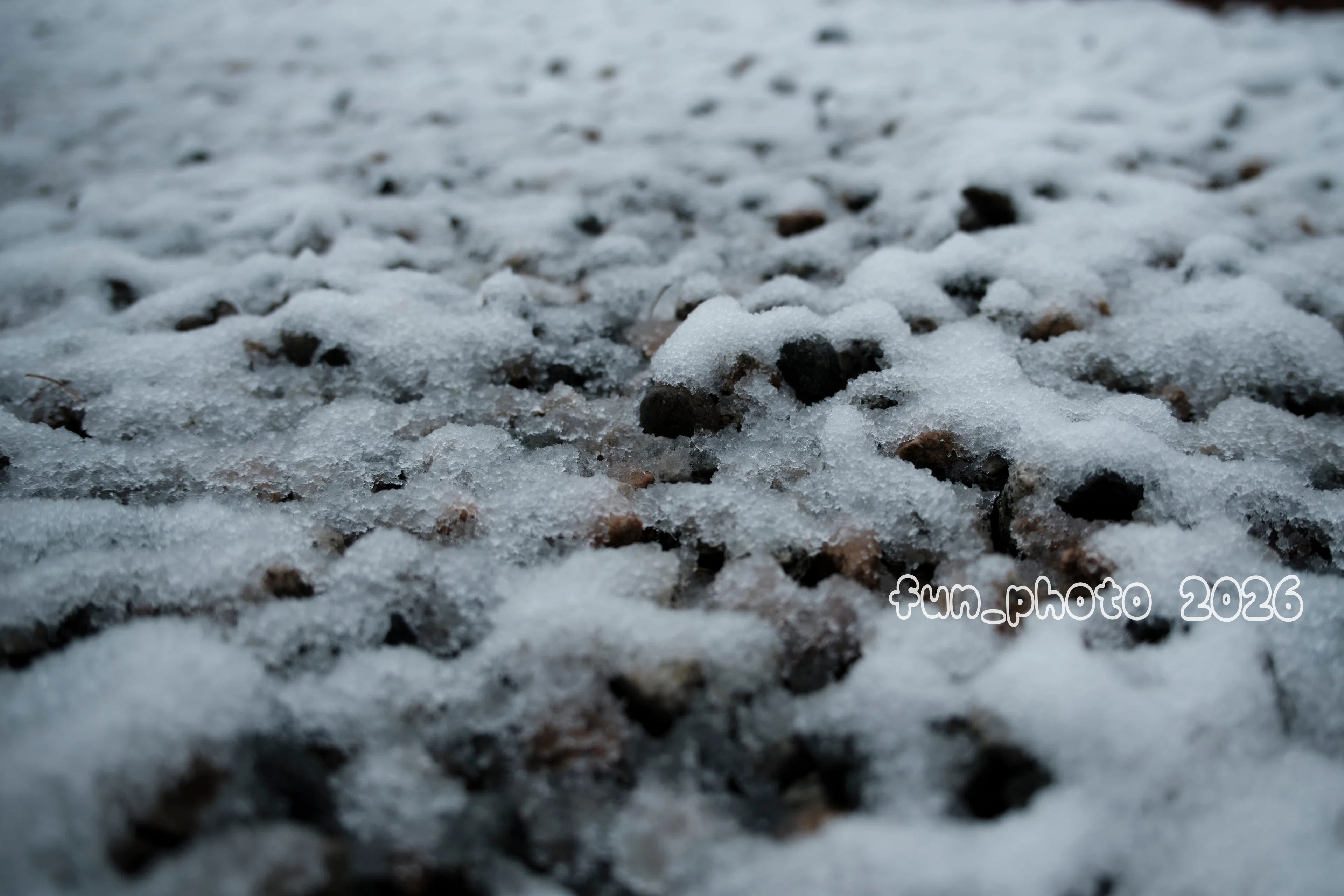 SIGMA18-50mm F2.8 DC DN Contemporary と Xマウント｜fun_photo