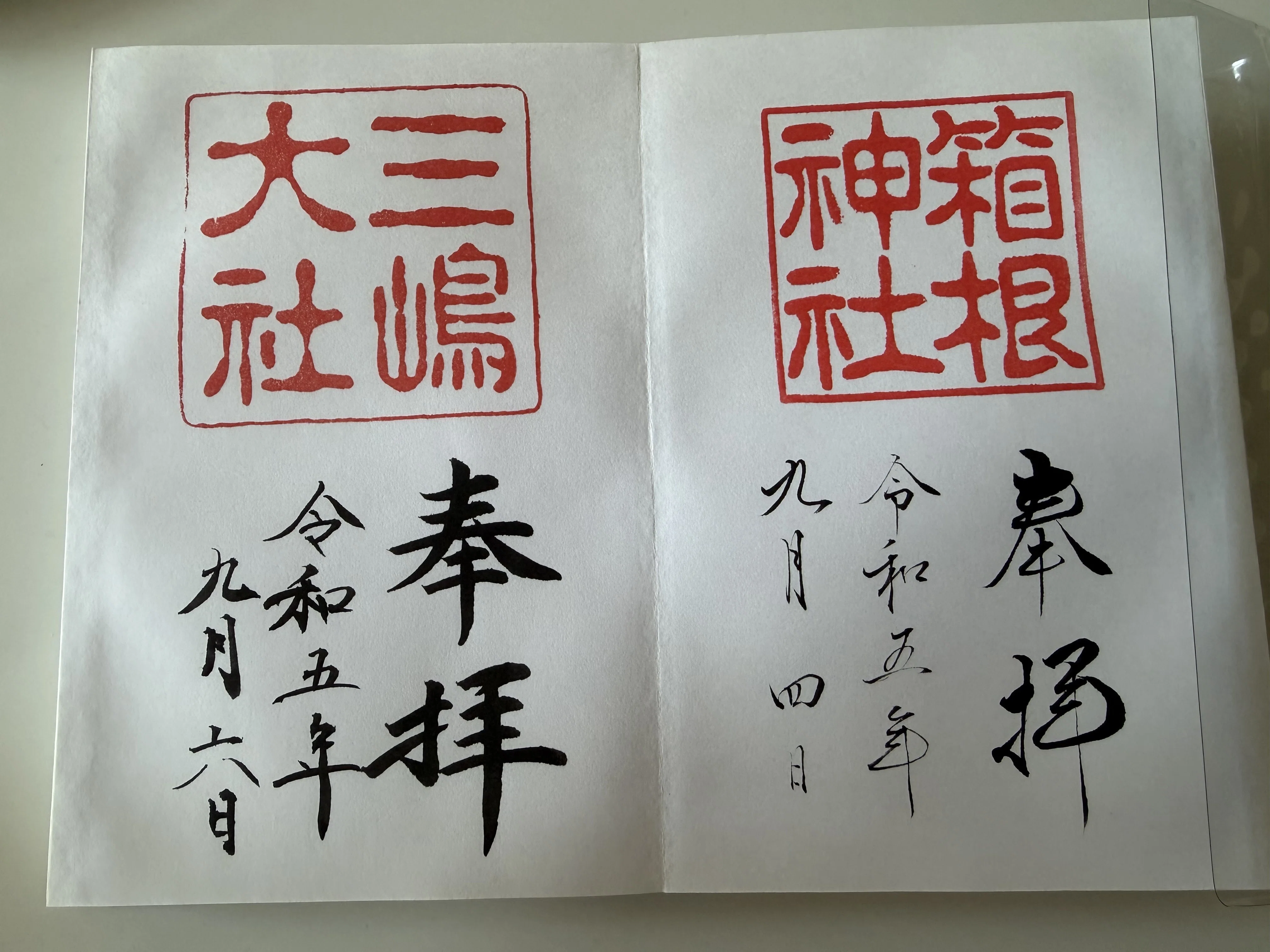 来宮神社⛩️｜篠﨑輝和/Terukazu Shinozaki