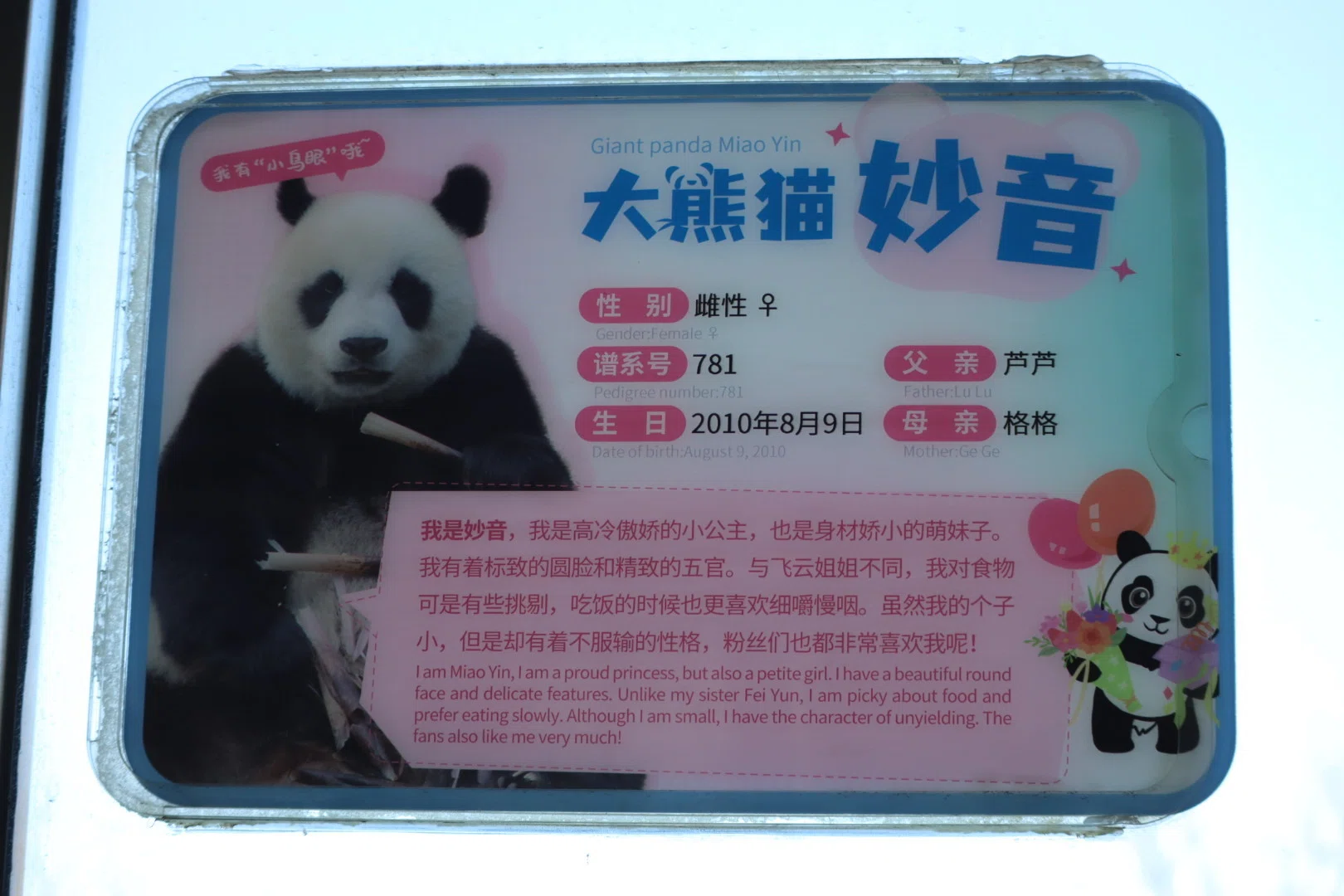 パンダ旅2026.3〜大連森林動物園③｜shihopandachan