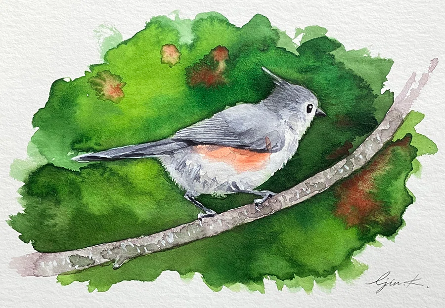 鳥の水彩画3点｜Ijin（維人）