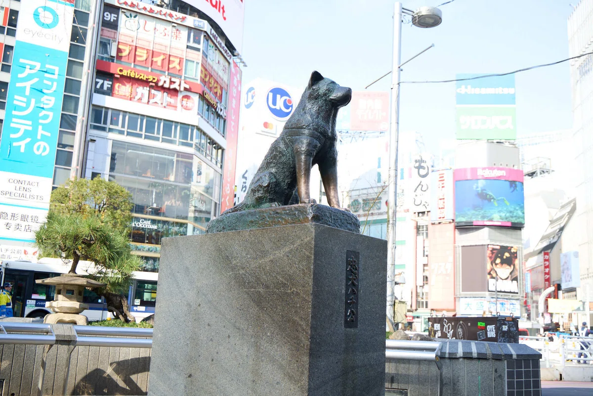 3月8日は忠犬ハチ公の命日 〜91年経っても色褪せない、忠義の物語〜|渋谷区観光協会 | Shibuya Tourism