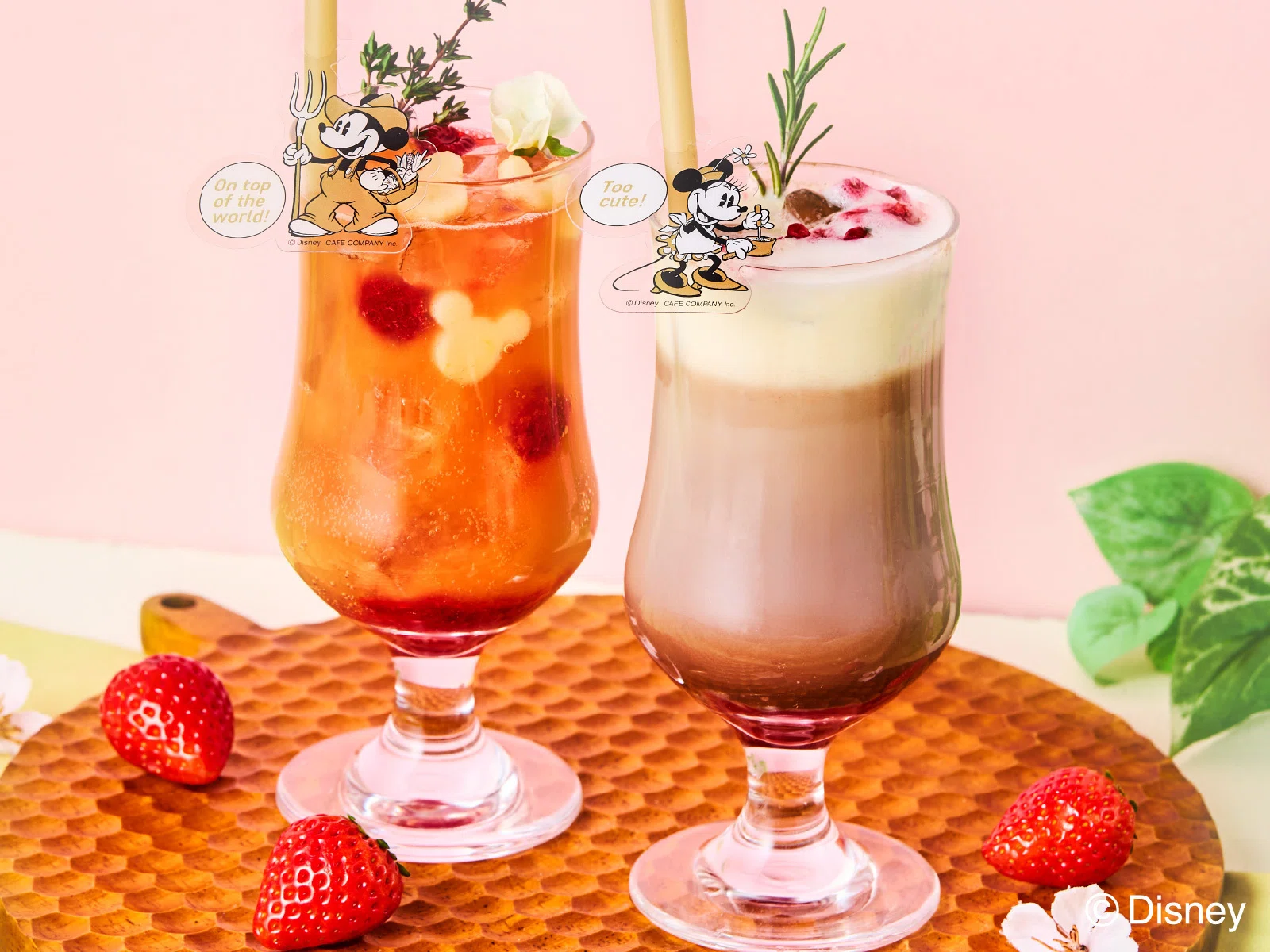 ディズニーの世界観で楽しむカフェ＆ギフトショップ】「Disney HARVEST