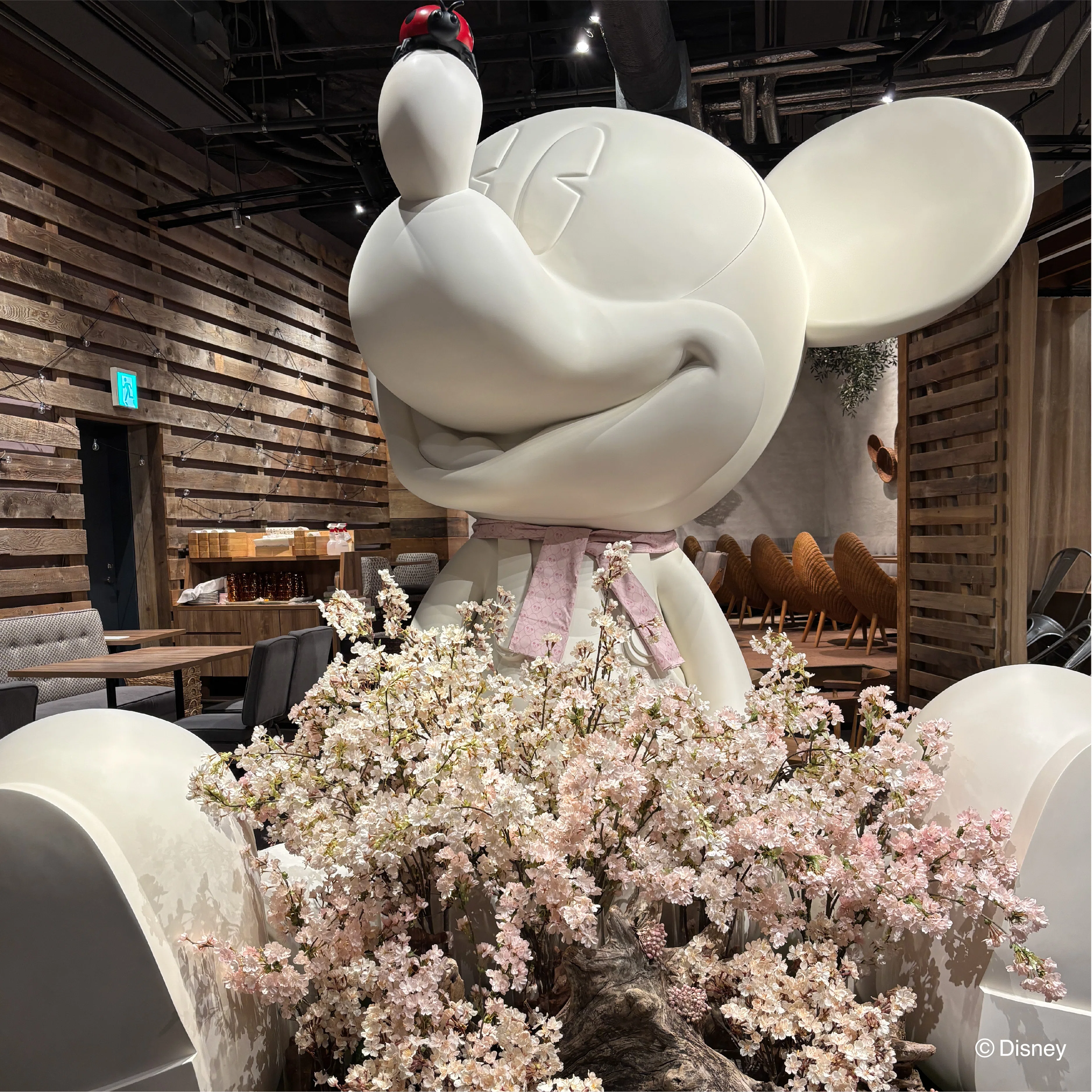 ディズニーの世界観で楽しむカフェ＆ギフトショップ】「Disney HARVEST