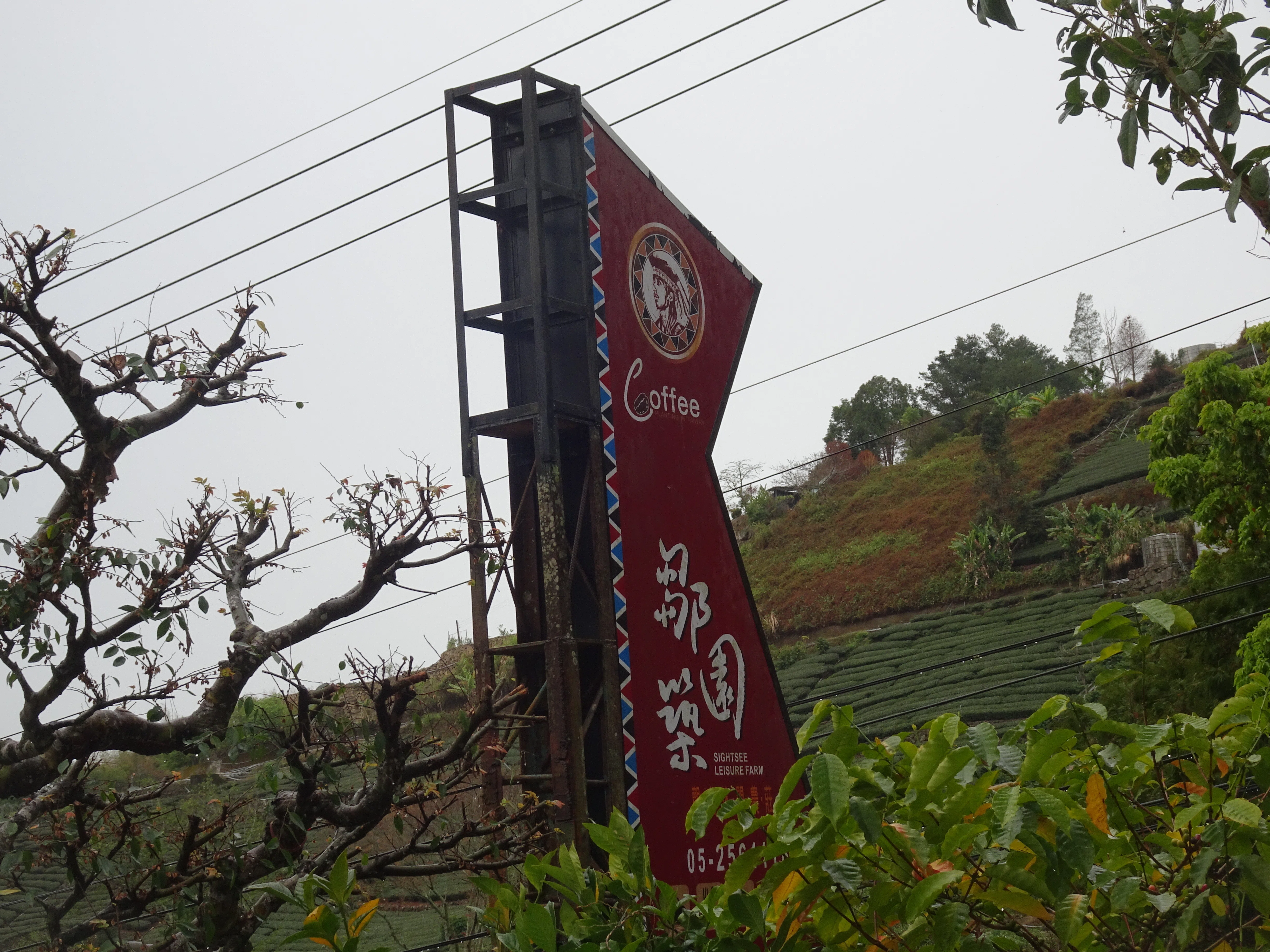 台湾・阿里山珈琲を巡る旅2～鄒築園（Zou Coffee）にて｜門田和雄