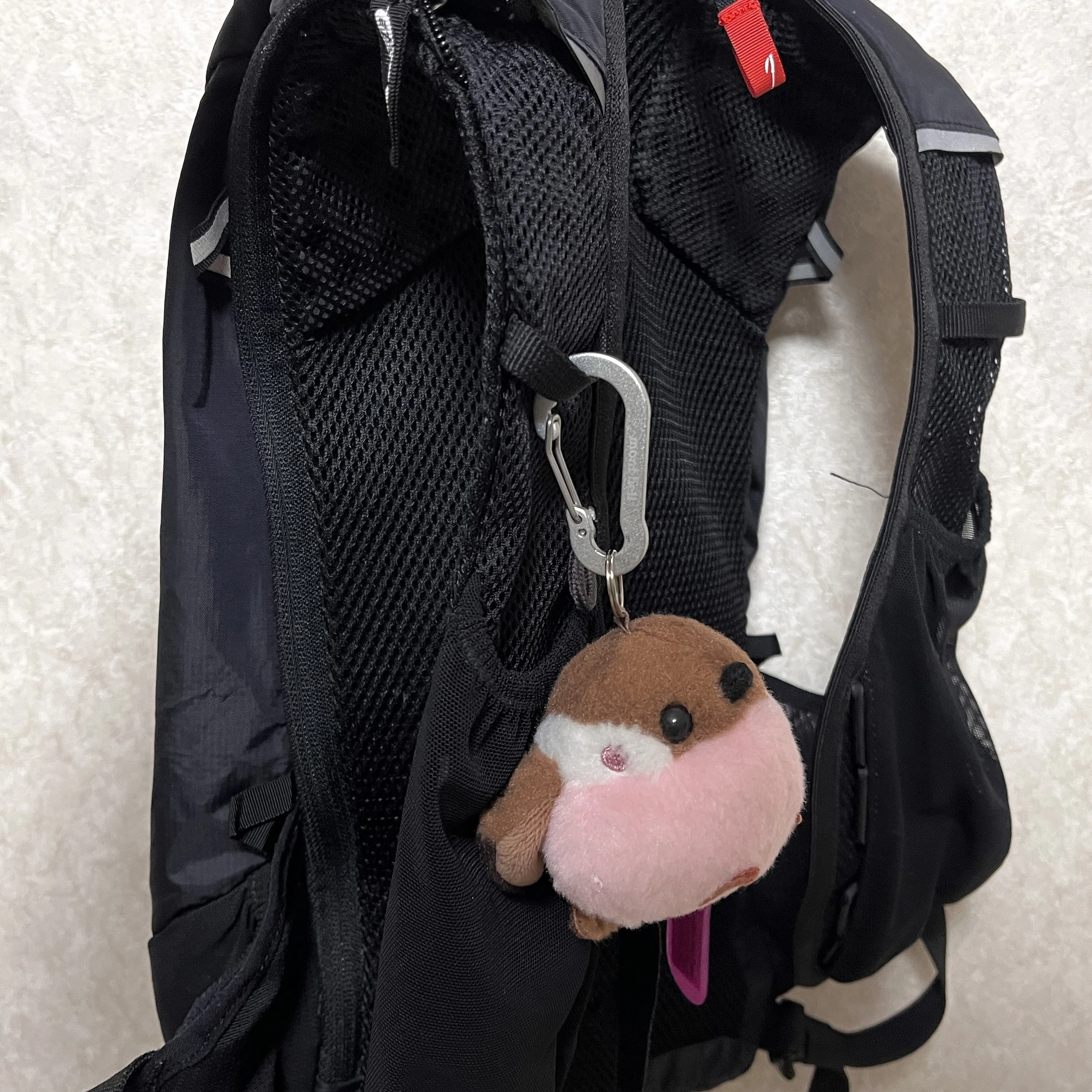 歩き旅と「ぬい活」の生存戦略｜aya@徒歩愛好家