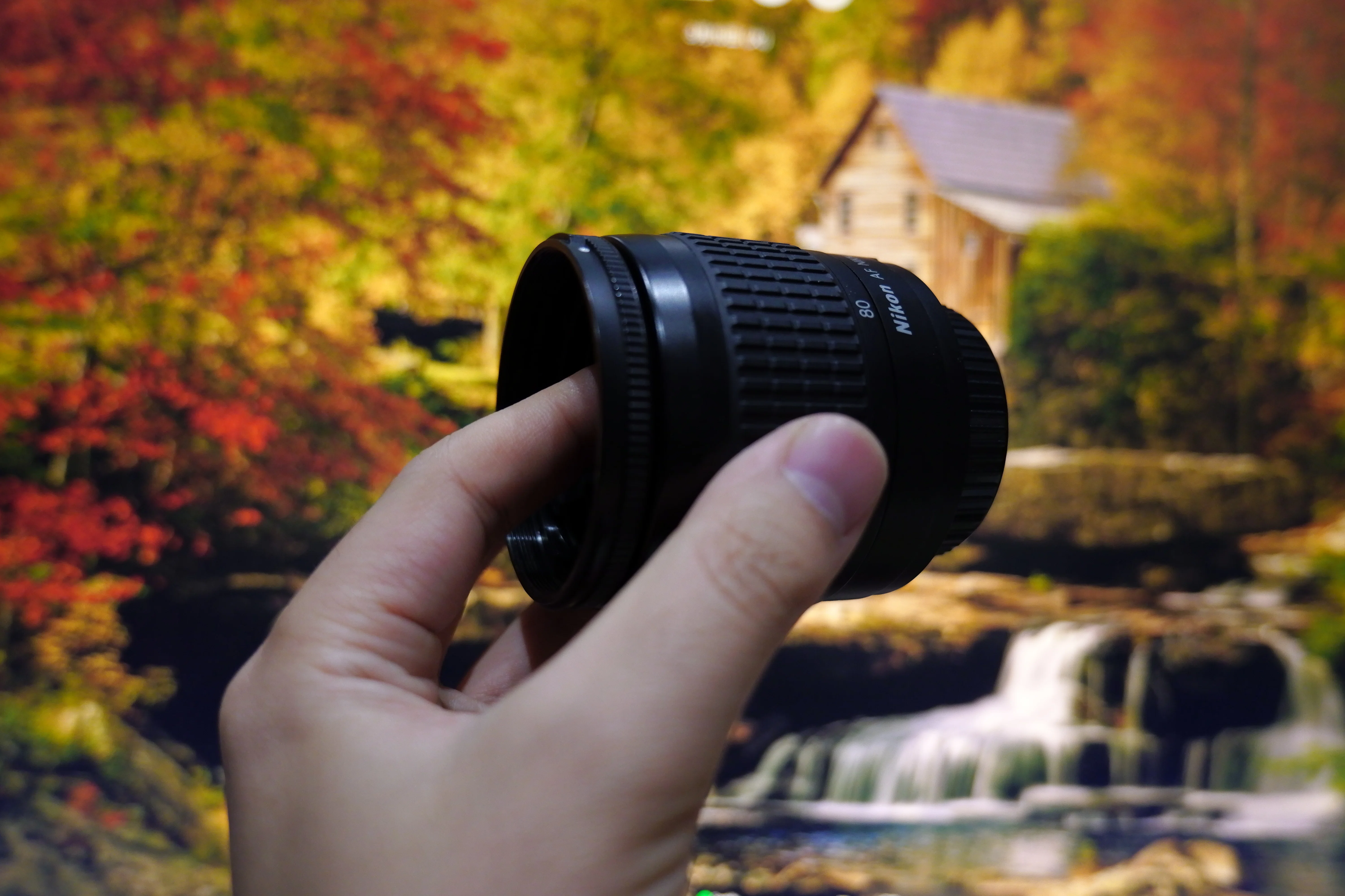 【ふごり】NIKON  マクロレンズ ニコンのマクロレンズのおすすめ人気ランキング【2026年5月】 | マイベスト