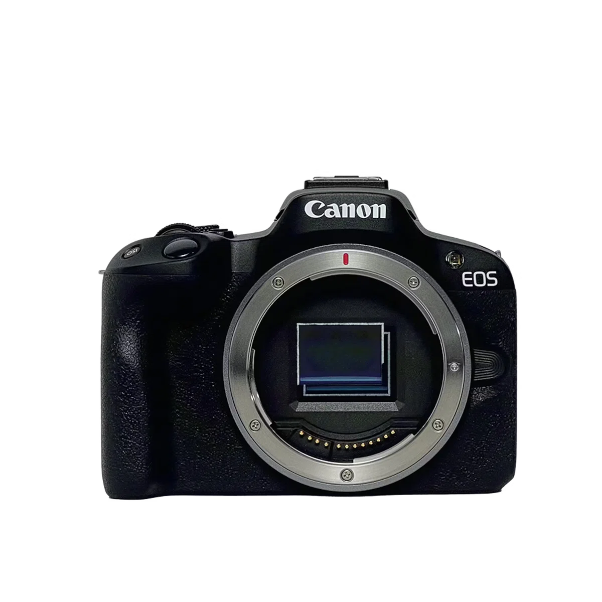 美品　Canon 一眼レフ 七五三　カメラ 七五三撮影におすすめのカメラ10選！撮り方のコツや設定も解説