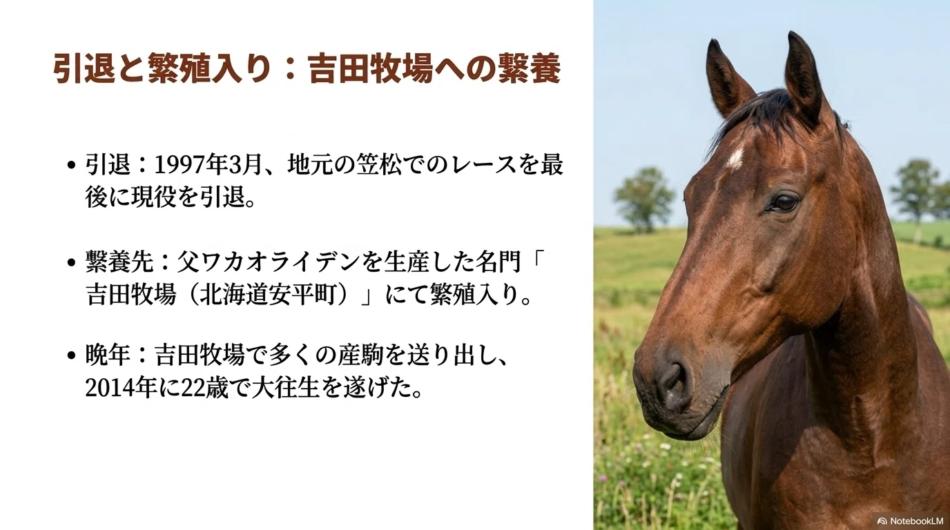 ライデンリーダー ―交流元年、笠松・無敗の10連勝馬が扉をこじ開けた