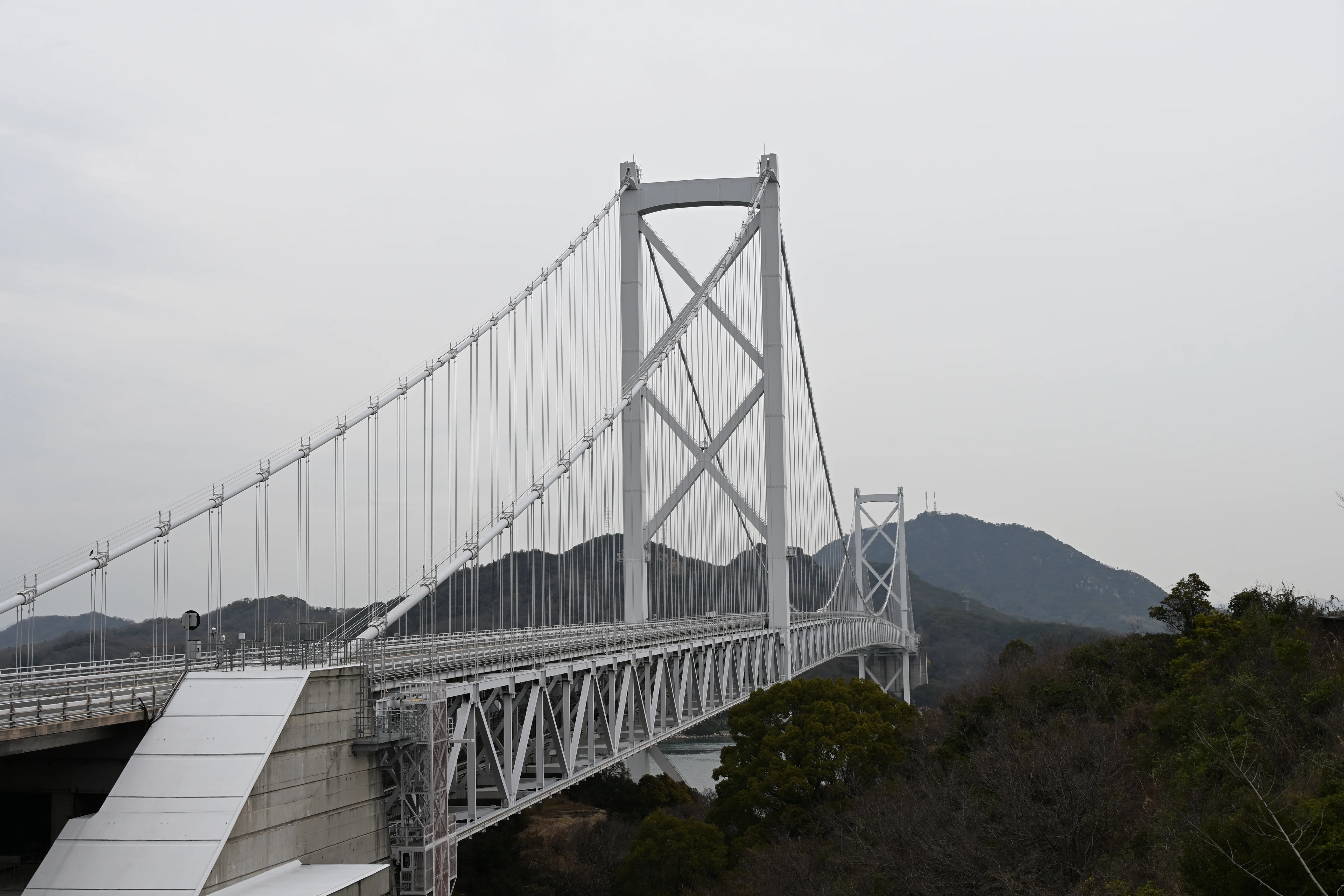 20260306_大浜パーキングエリア【Nikon Z50IIと観光】｜山ネズミ