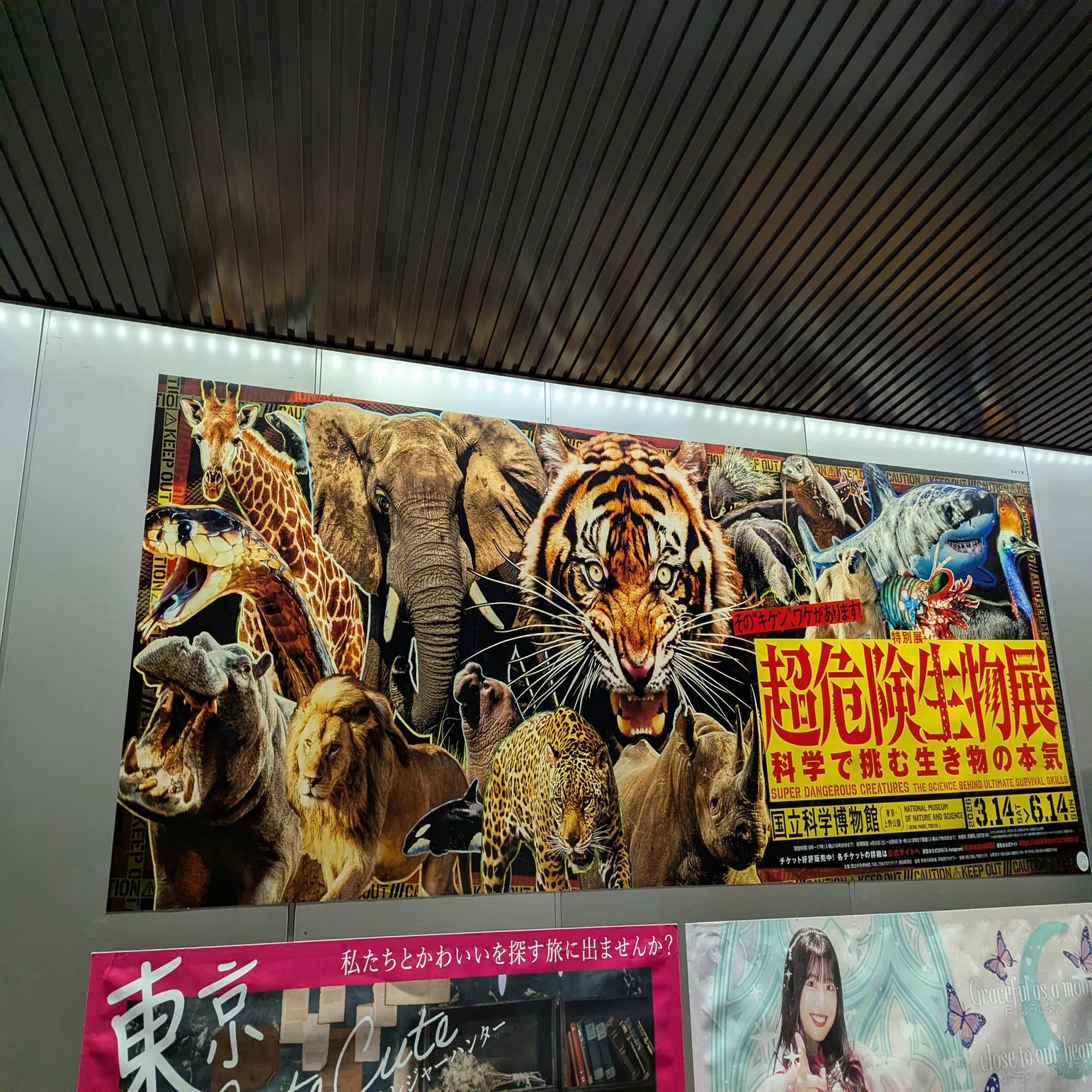 特別展「超危険生物展」の広告 | 2026/3/19｜加藤誠也 広告巡礼