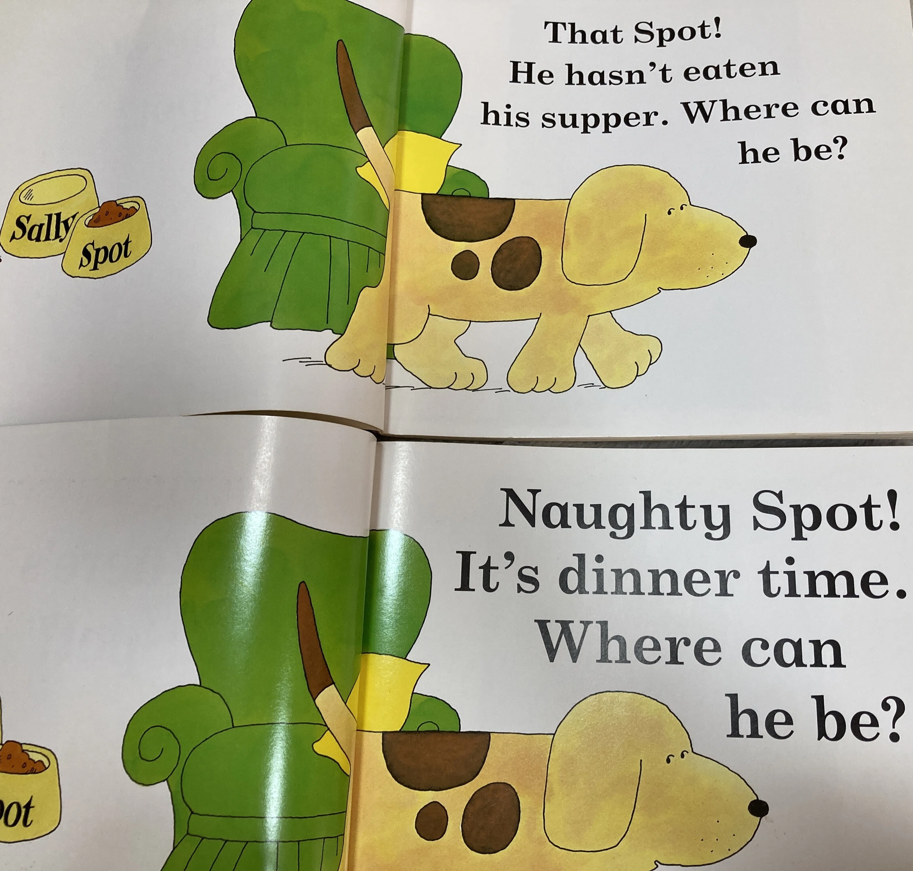 Spotのしかけ絵本で気づいた｜イギリス英語とアメリカ英語の違い