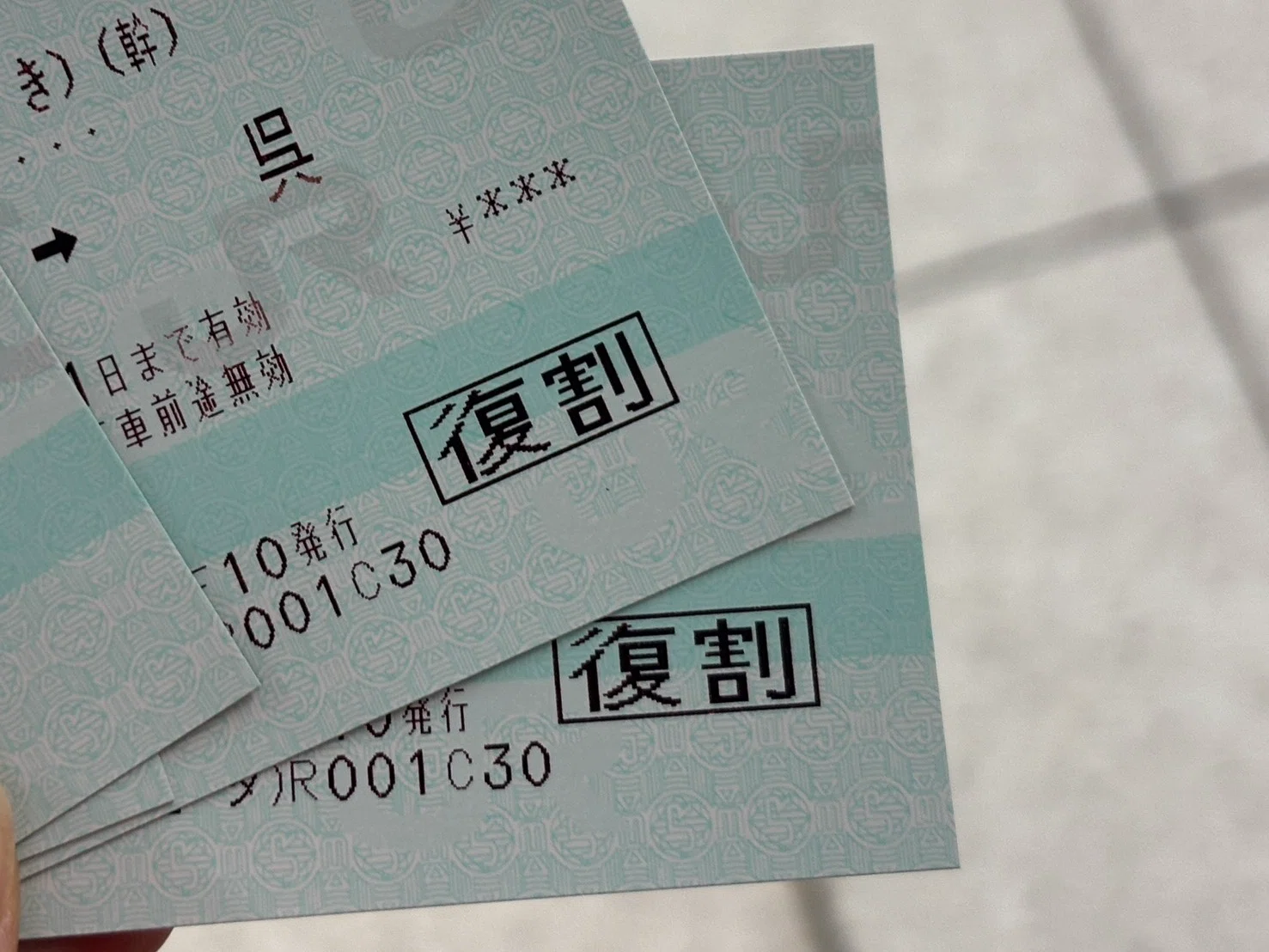 往復割引きっぷ、最後の旅｜たわん@【2026の目標】100冊読破して、実際 