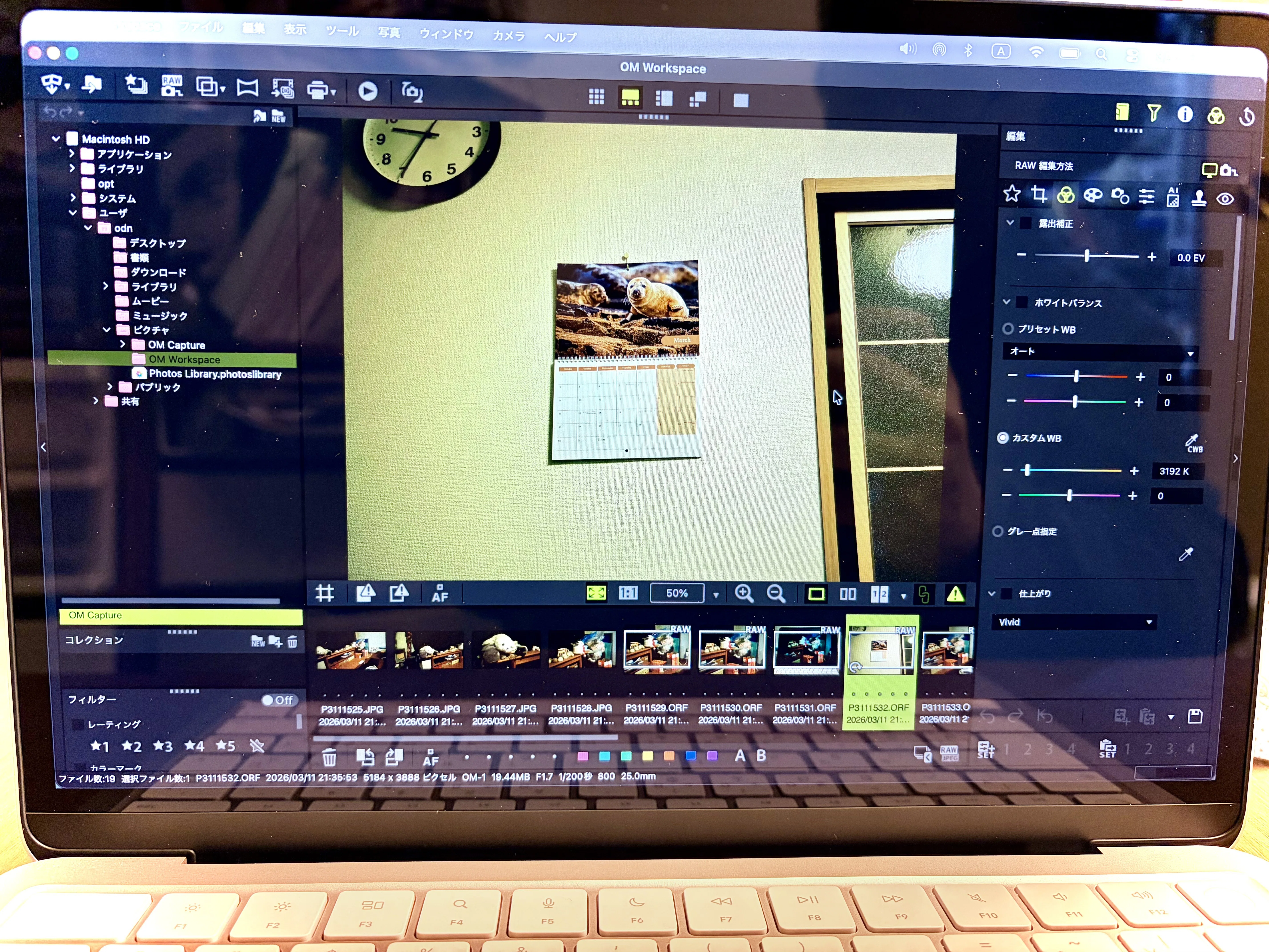 MacBook Neo レビュー｜あざらし王国(ODN@フォロバほぼ100)