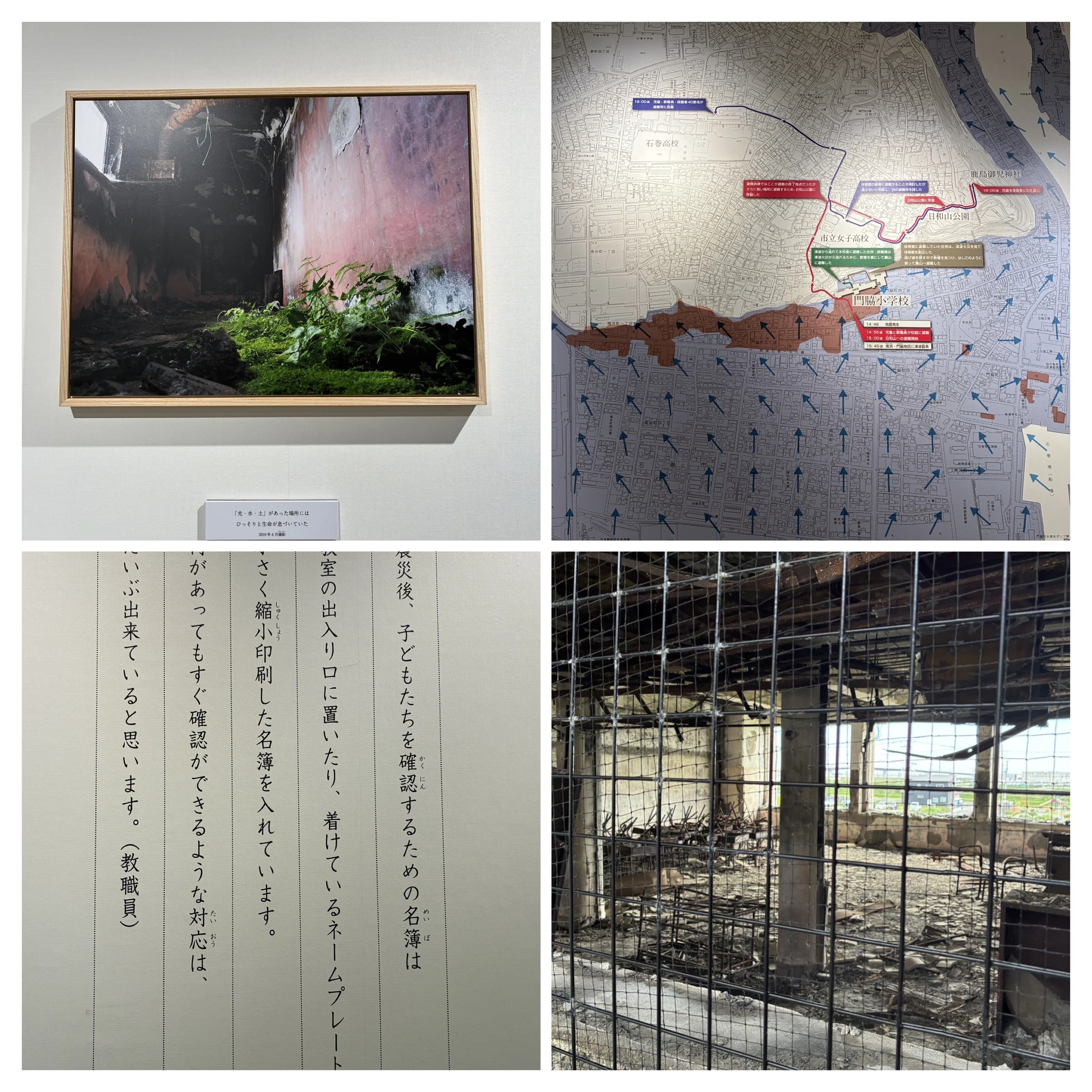 分けたもの ー震災後15年を思う｜Sayaka Ishizuka