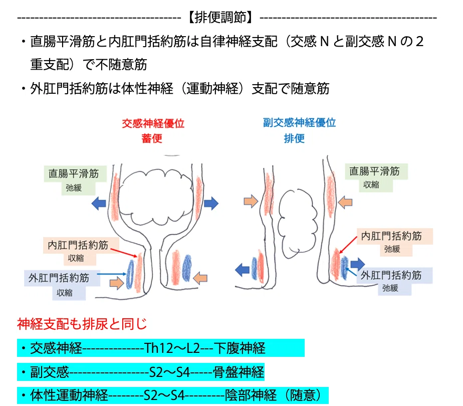 第61回理学療法士国家試験 午後66−70の解説|Sixty_valleyのページ