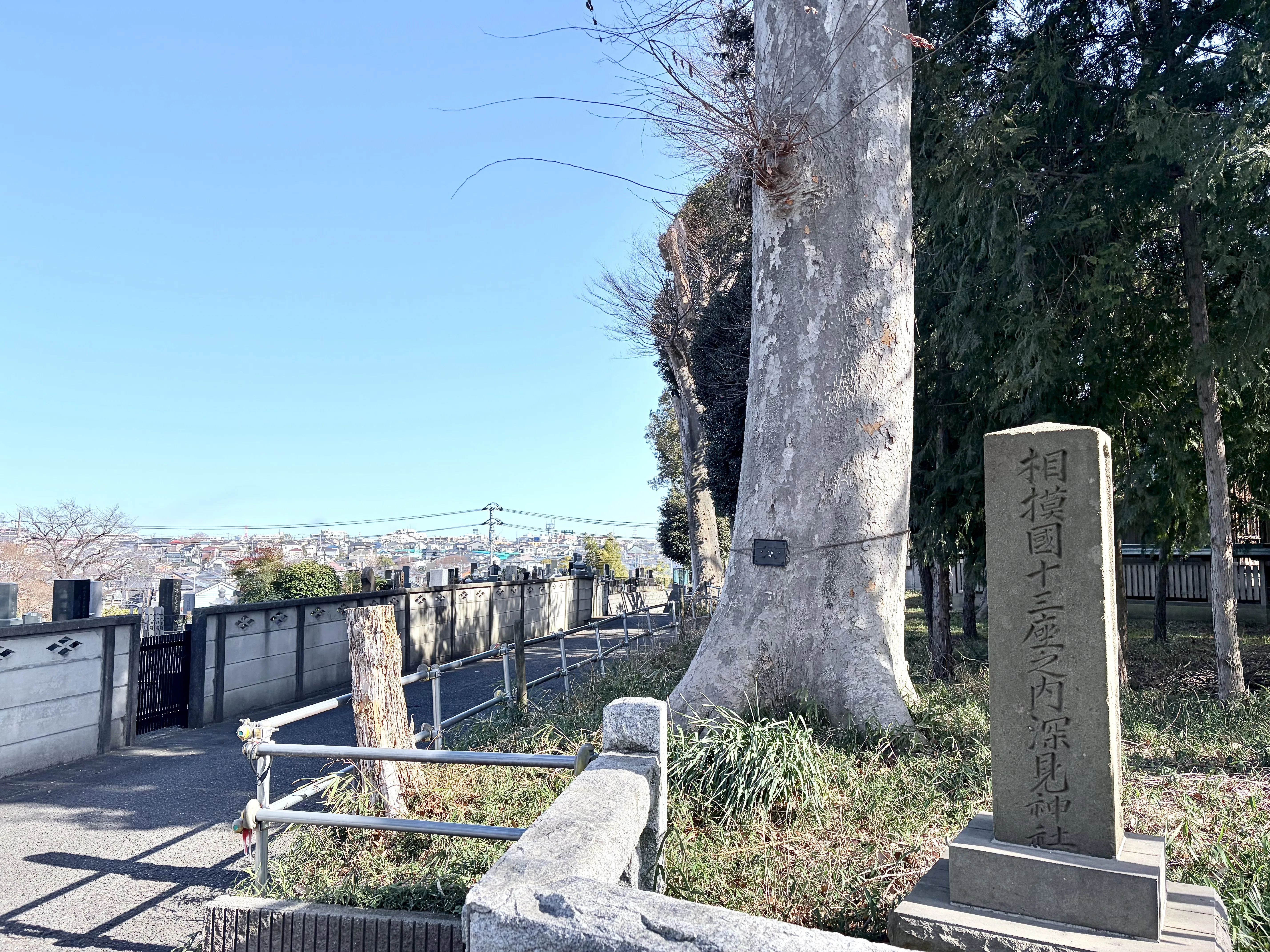 深見神社】戦った二人の武神がともに祀られる式内社｜勝手に縄文時代