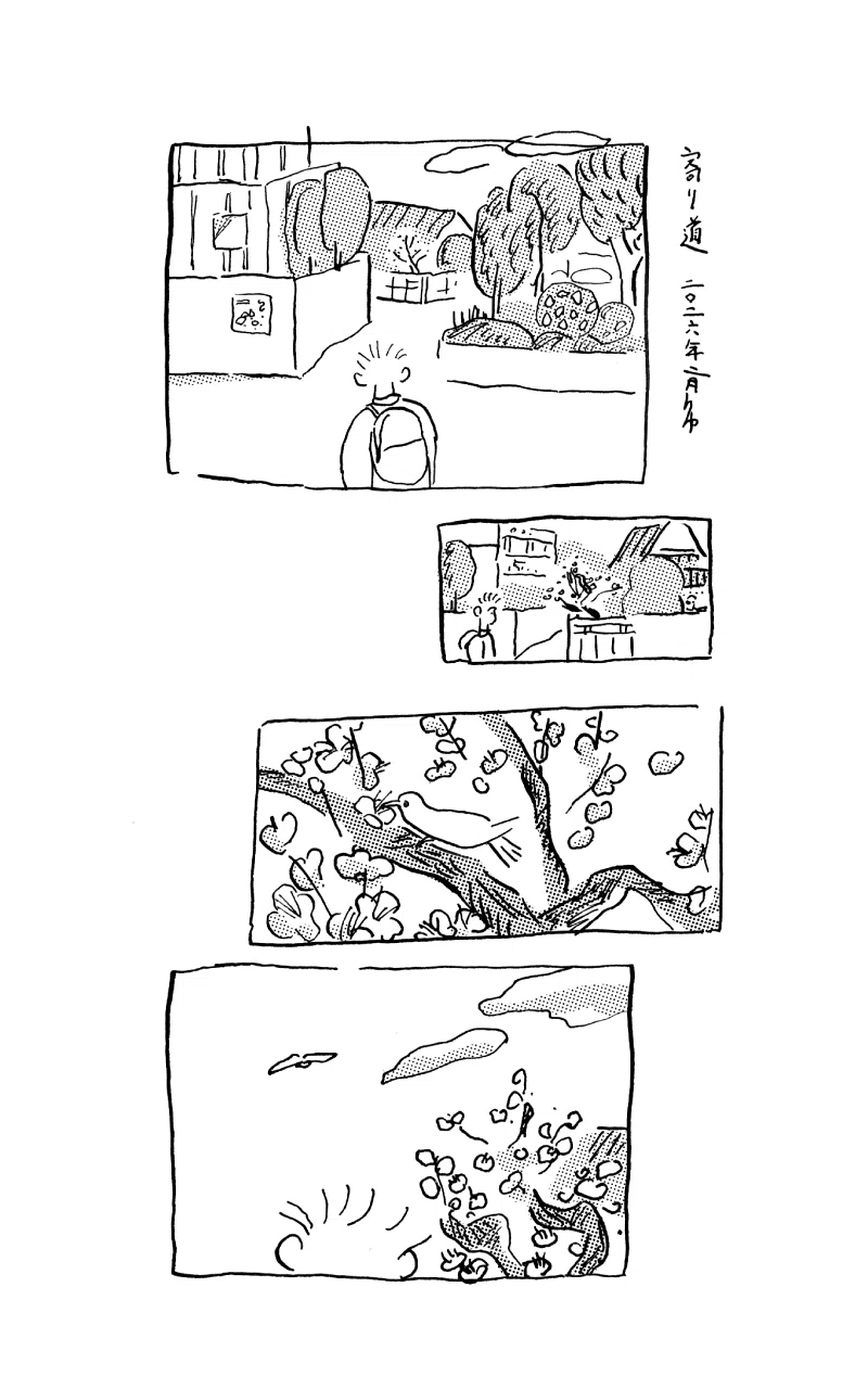 いつか気づく。언젠가 깨닫는 / ＜第1回＞阿部龍一「歩いて出会うこと。」｜SUNNY BOY BOOKS