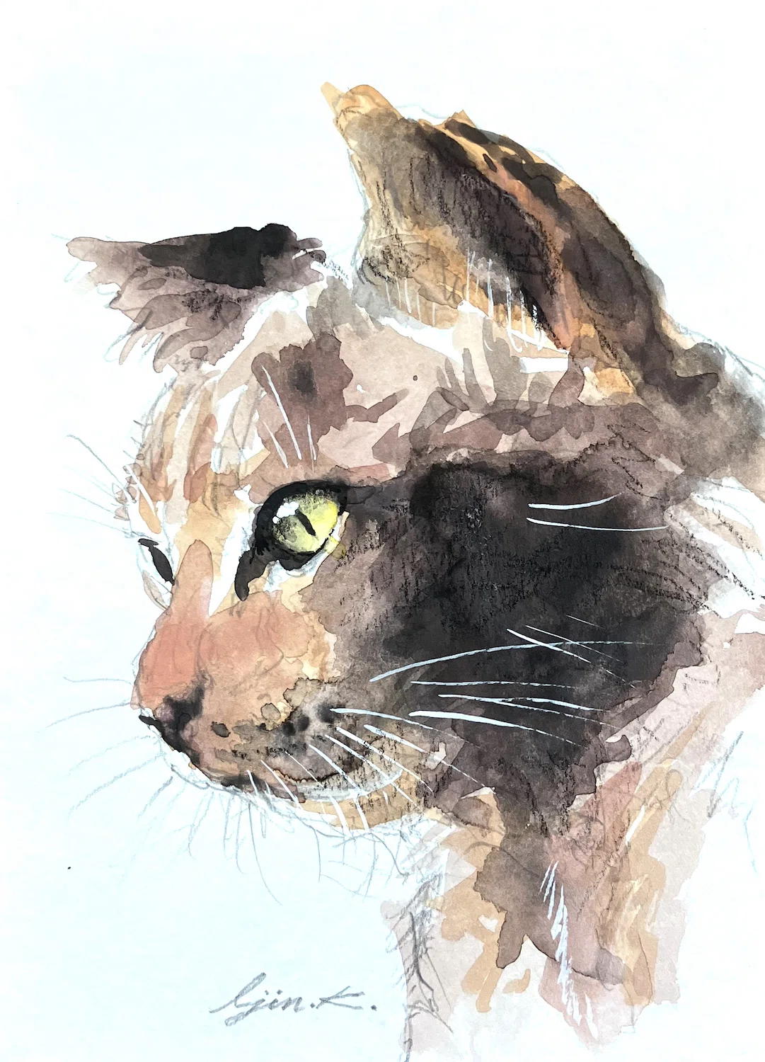 猫水彩画｜Ijin（維人）