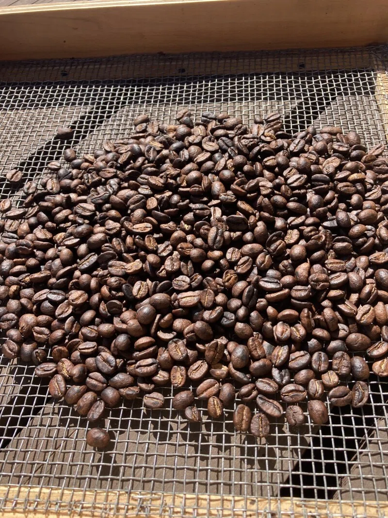 コーヒー焙煎機 おまけに生豆670g コロンビアスプレモ 【公式通販】