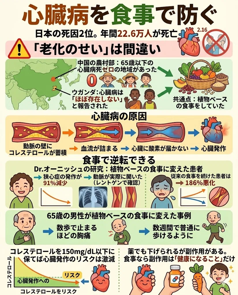 心臓病 予防 食事 コレステロール 植物性食品 動脈硬化 狭心症 科学的根拠
