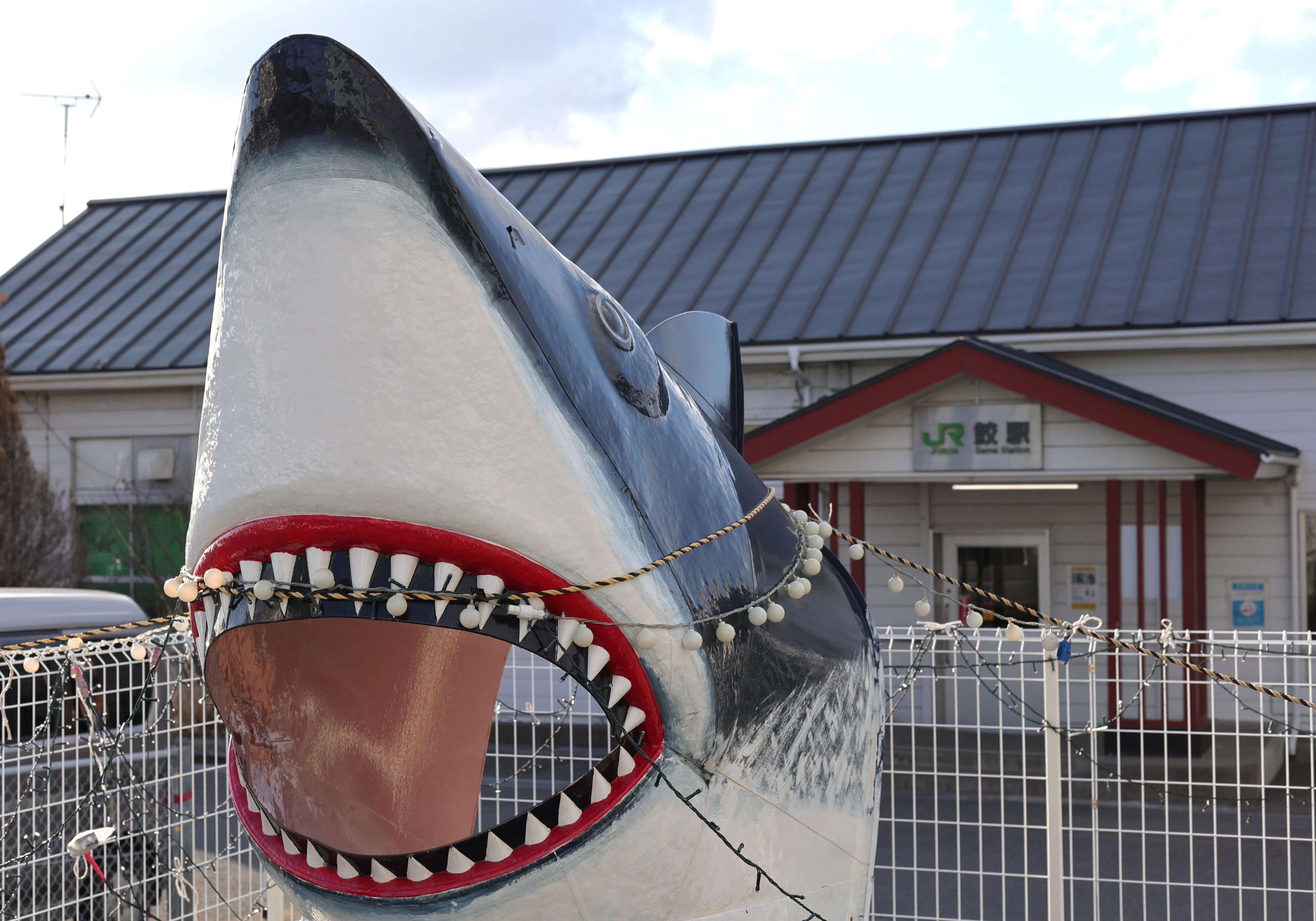 写真】蕪島(青森県)でウミネコと戯れる｜Abbey -旅するように暮らす