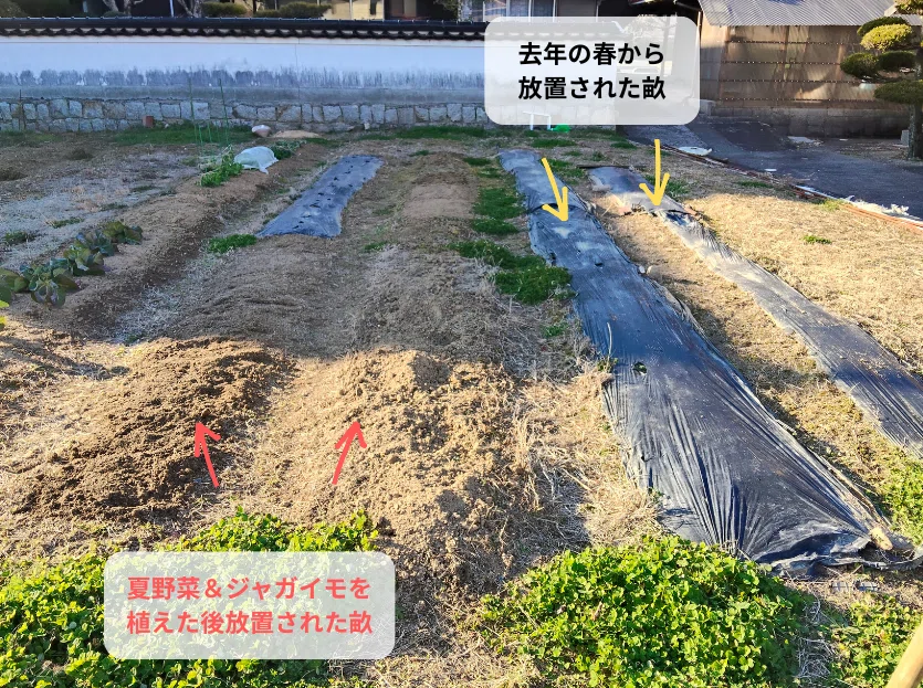 女1人で、耕運機使って畑を耕してみた｜くまごろう