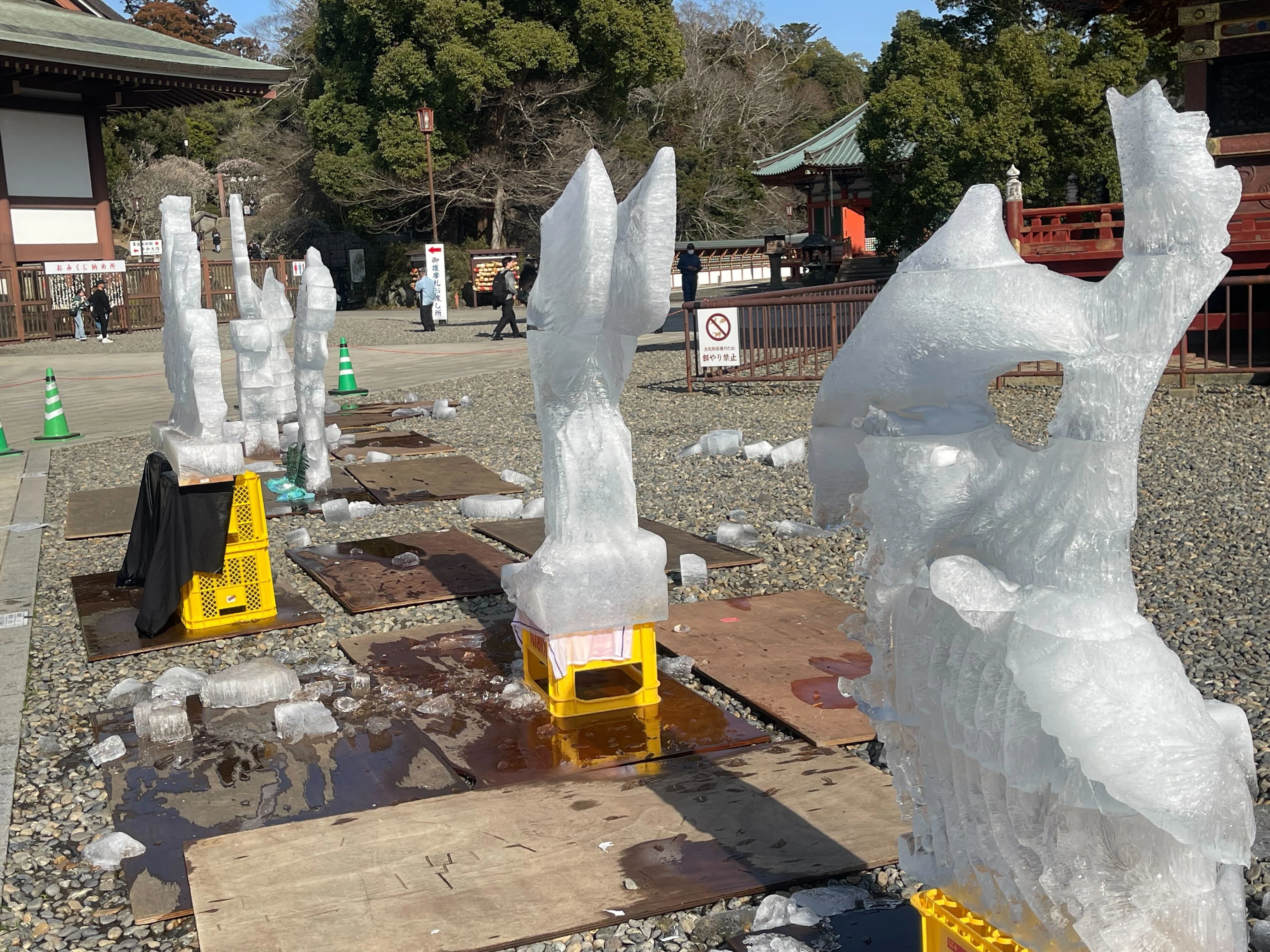 お花見も氷彫刻も！成田山新勝寺大会にお邪魔しました。｜小野田の超純