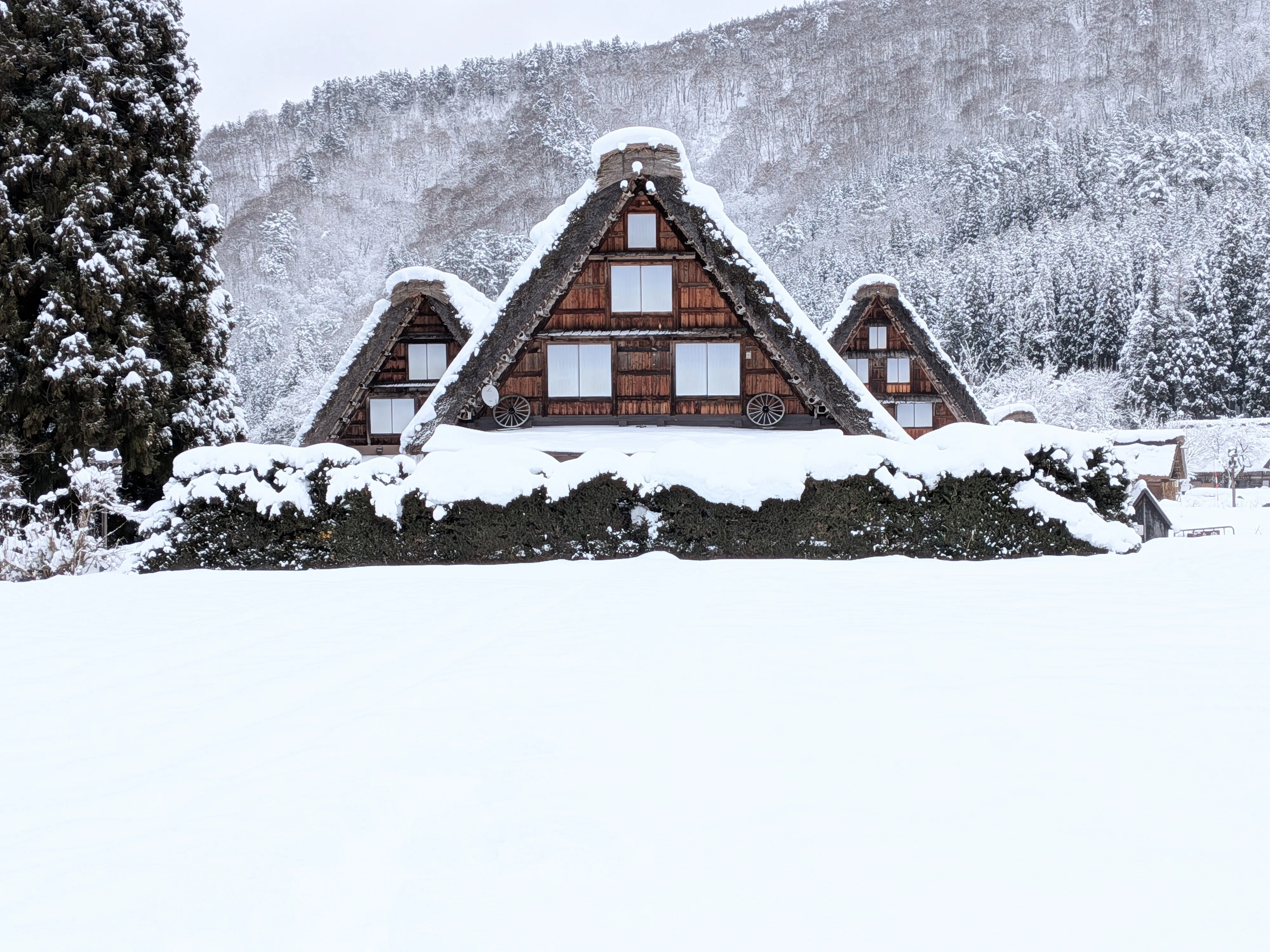 雪景色の白川郷・五箇山合掌造り集落で伝統を体感する｜Ashi