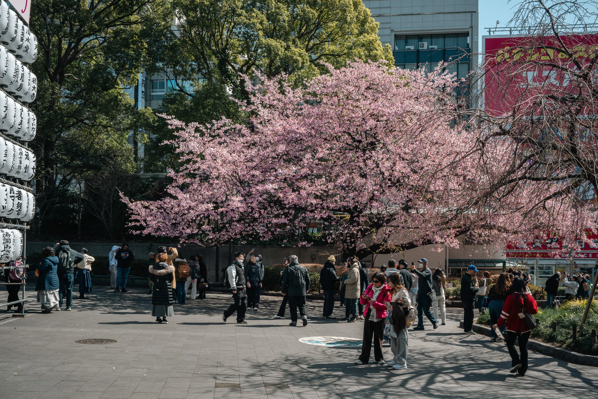 お写ん歩のすゝめ ― Nikonと上野・浅草さんぽ｜Kaz Osawa