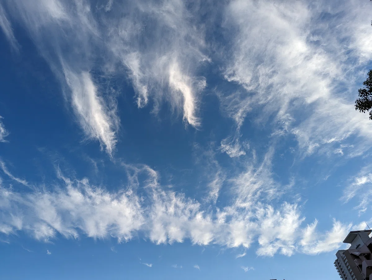 龍雲|秘青
