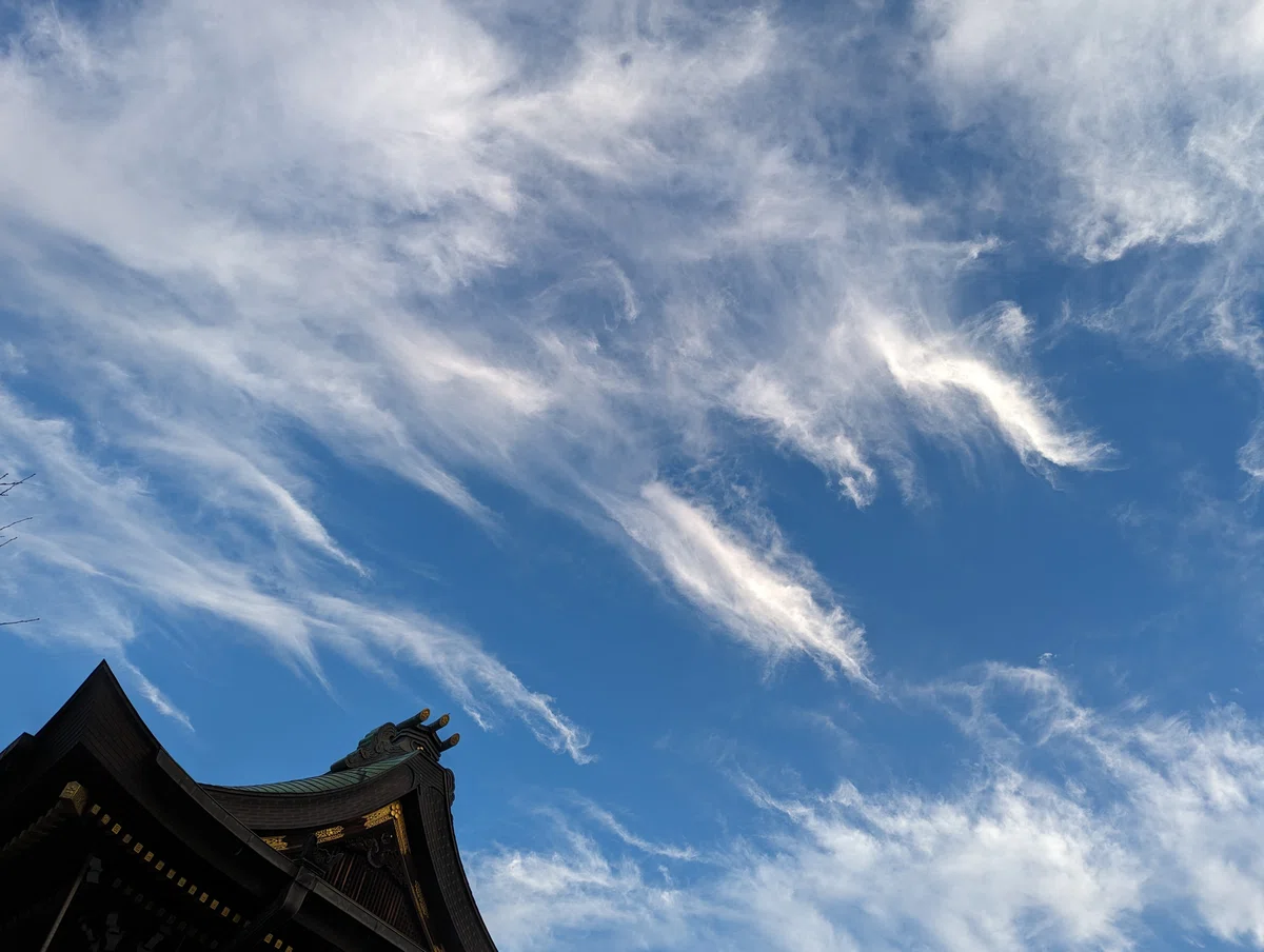 龍雲|秘青