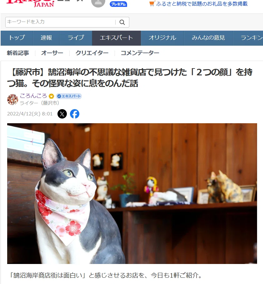 鵠沼海岸の不思議な雑貨店で見つけた「2つの顔」を持つ猫。その怪異な