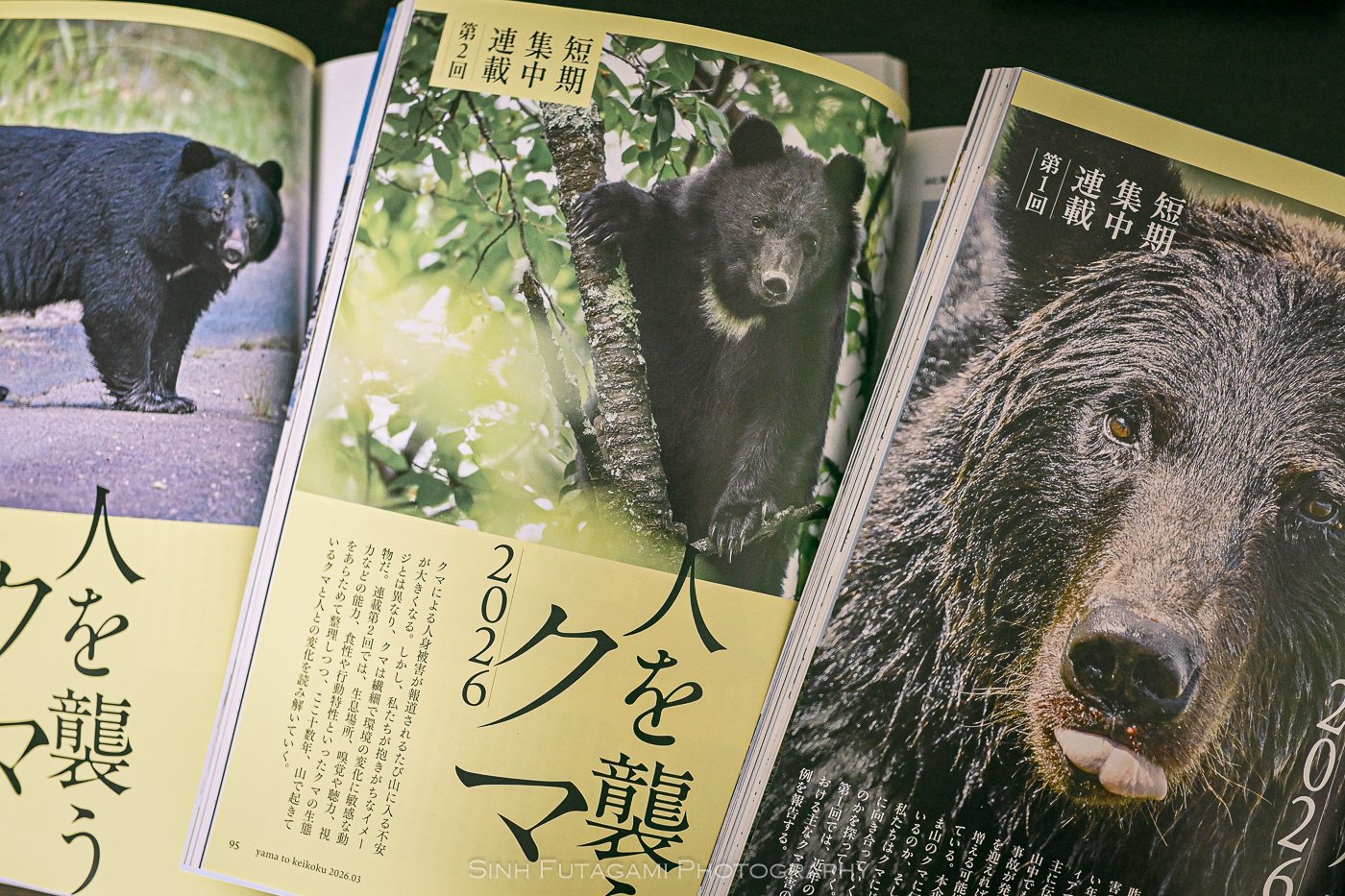 掲載】山と溪谷クマ特集～人を襲うクマ2026～｜Sinh