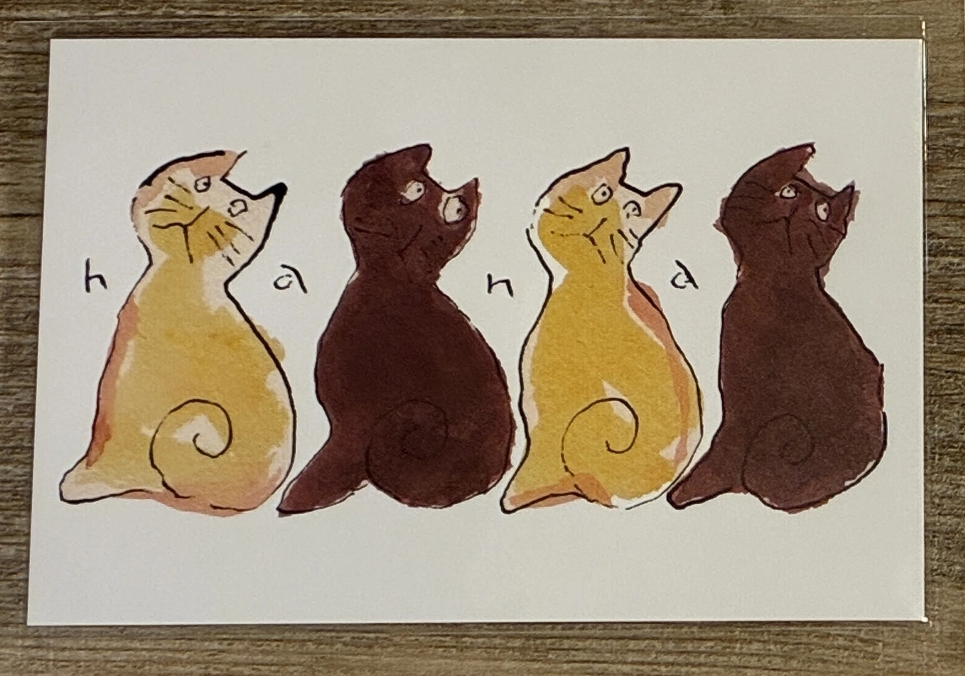 猫とコーヒー展 2026も、やるんです｜yoritomo