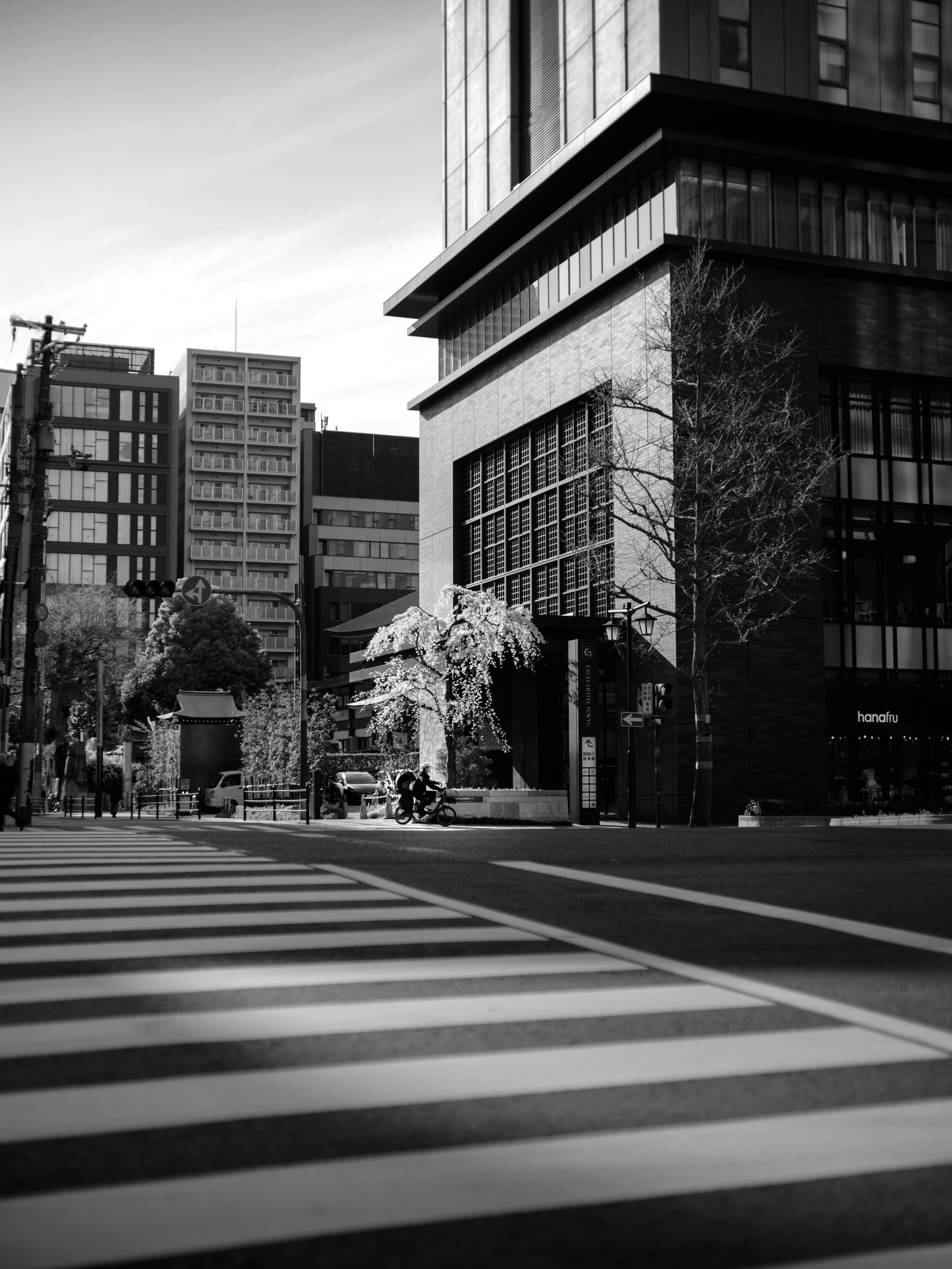 Voigtlander NOKTON 40mm f1.2 Aspherical VM｜LuqK（るあ）