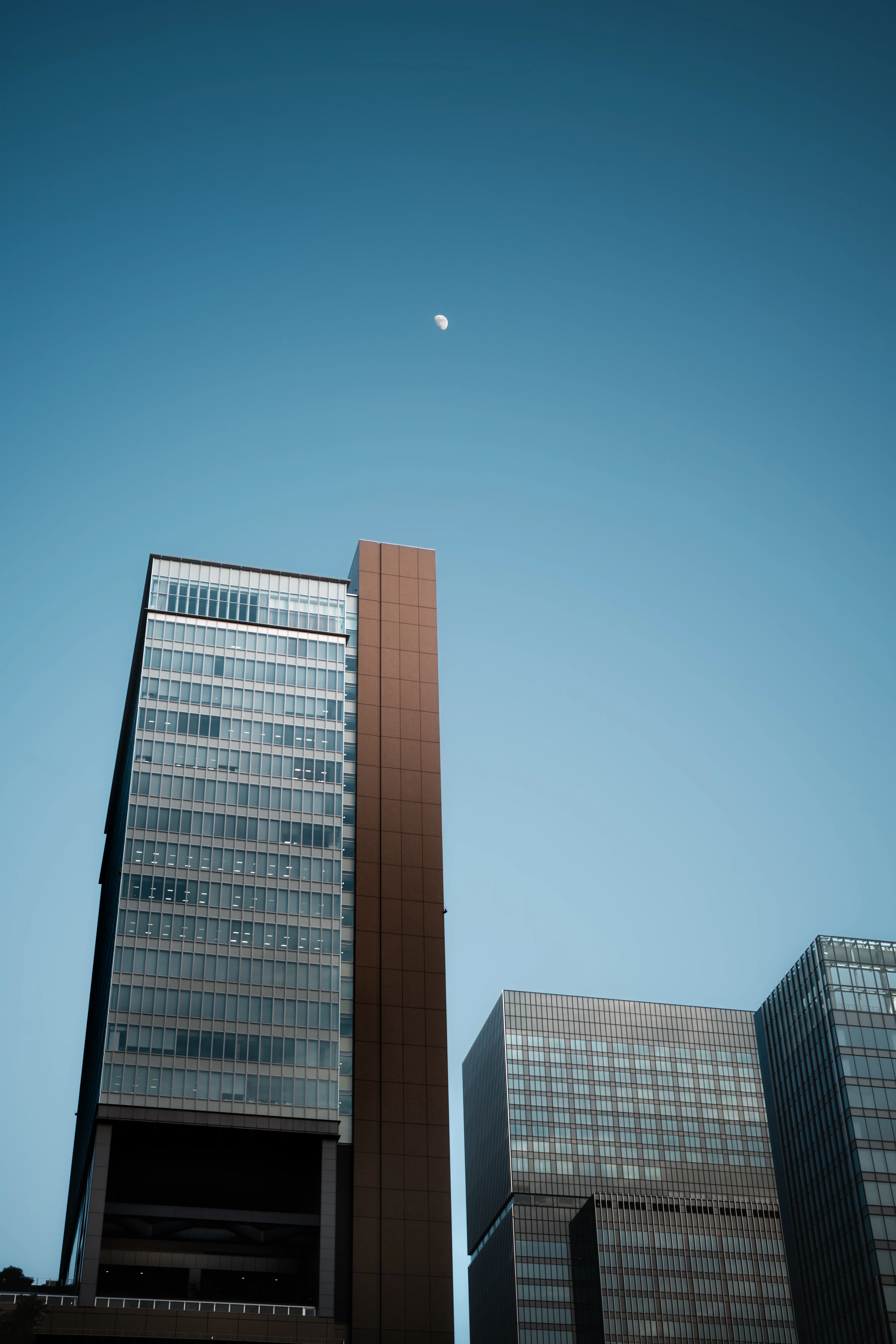 Voigtlander NOKTON 40mm f1.2 Aspherical VM｜LuqK（るあ）