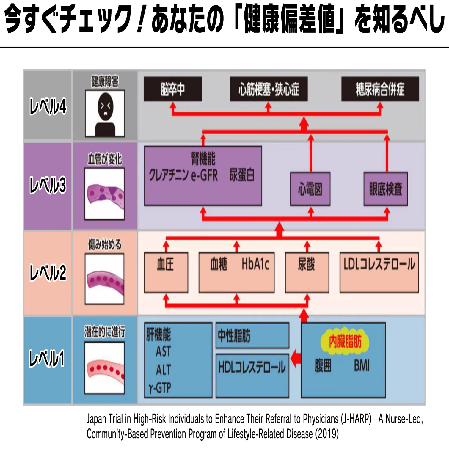 NHK「トリセツショー」が示した“健康診断オールAへの近道”は、結局なに