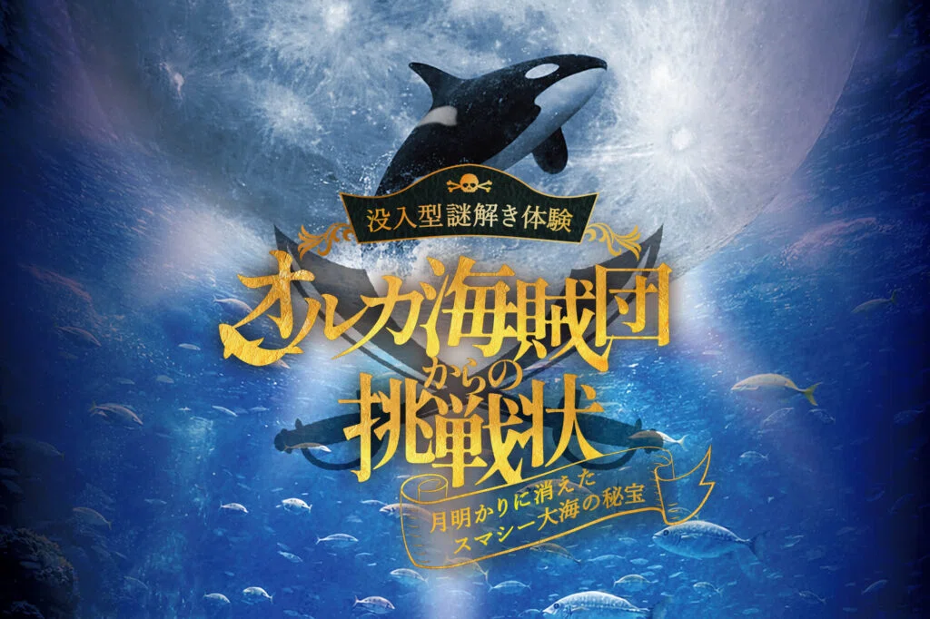 オルカ海賊団からの挑戦状～月明りに消えたスマシー大海の秘宝