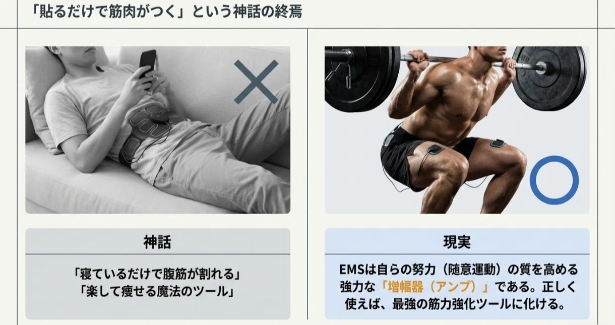 EMSで筋肉はつく？①理学療法士が教える「電気刺激×筋トレ」の驚きの