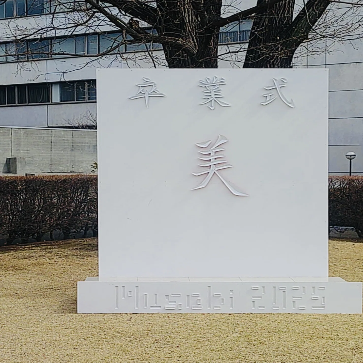 武蔵野美術大学造形学部通信教育課程芸術文化学科を卒業しました 
