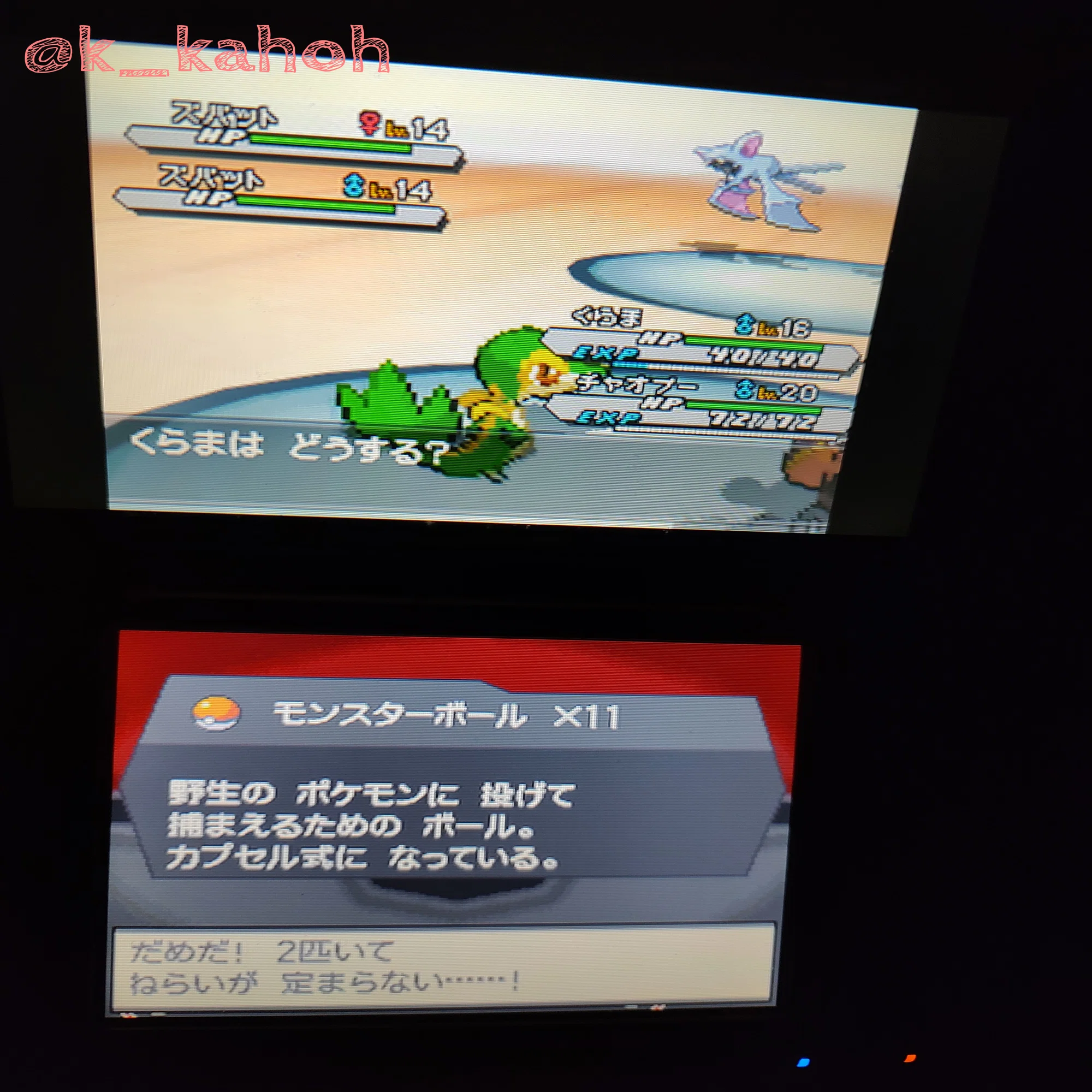 あっ!野生の初プレイポケモンが飛び出して来た..!!✨✨」｜花迸和裄 