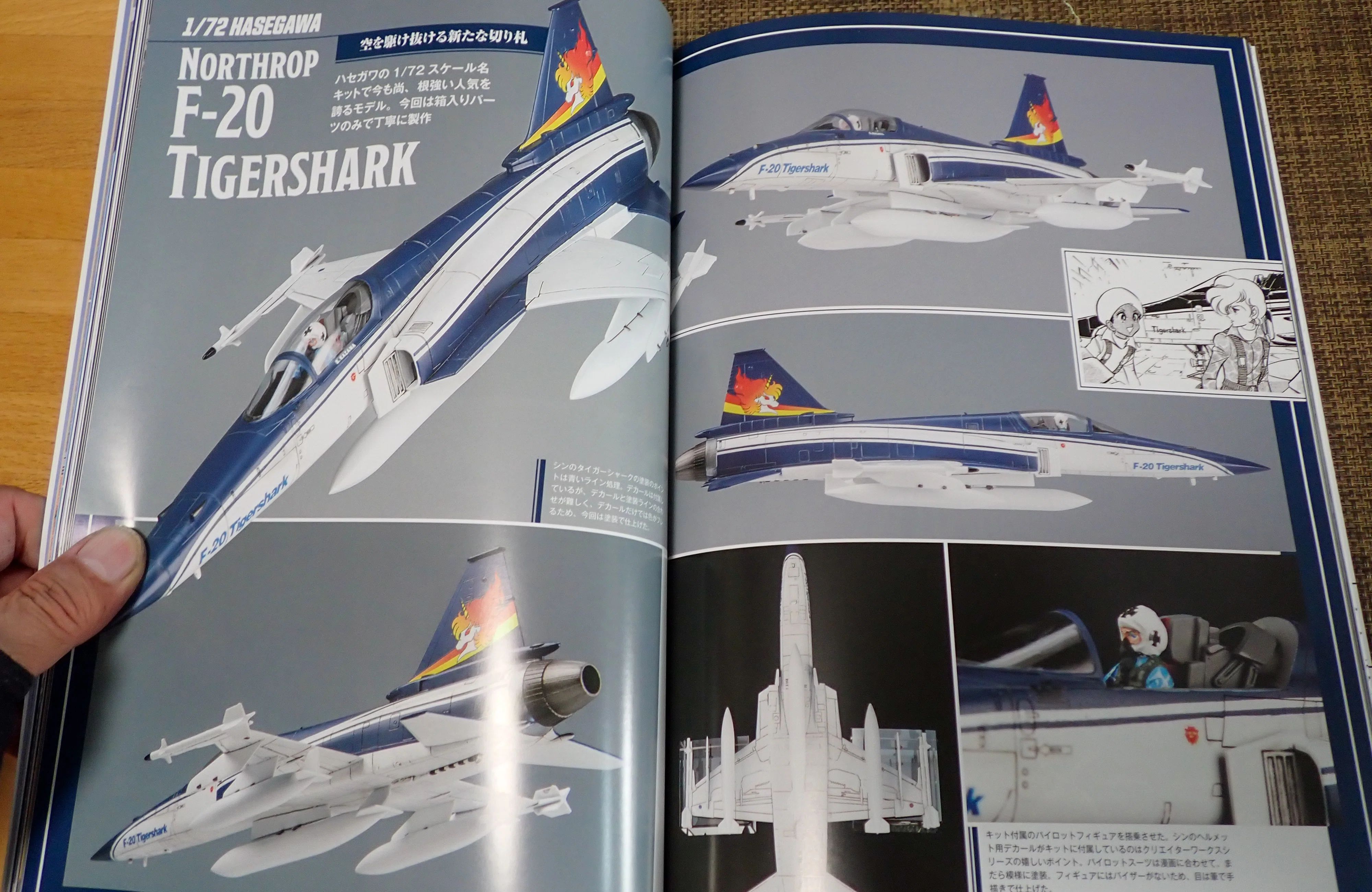 1/72 ハセガワ F20タイガーシャーク エリア88 風間真 搭乗機｜セるしうす