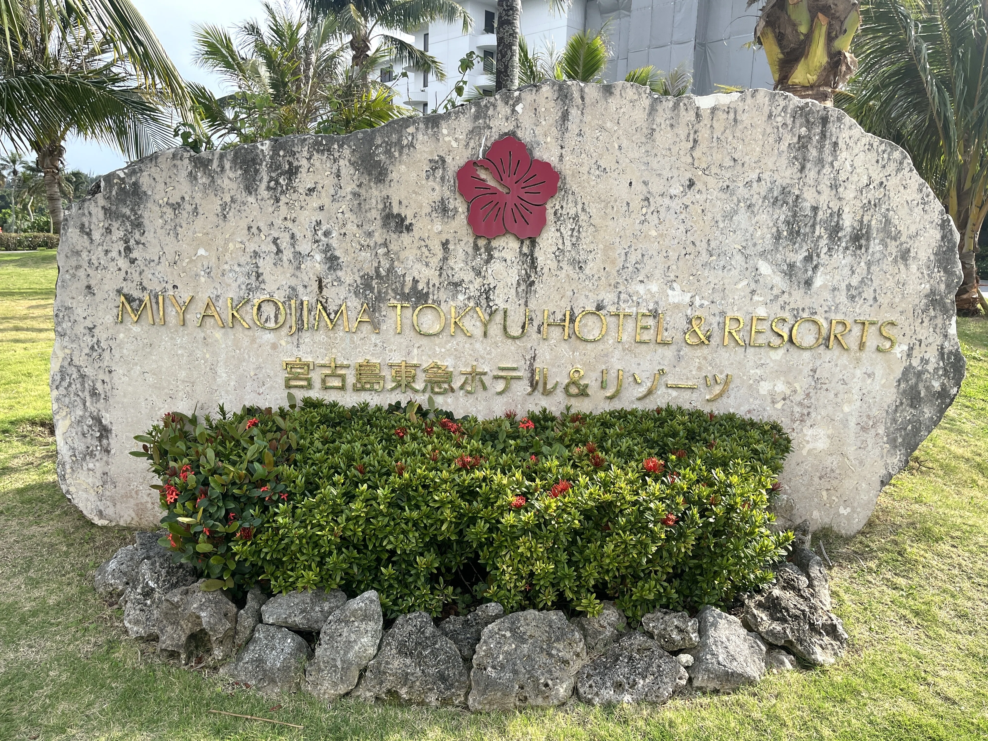 40代で初めての宮古島 | もっと早く来ていればと思うほど最高だった