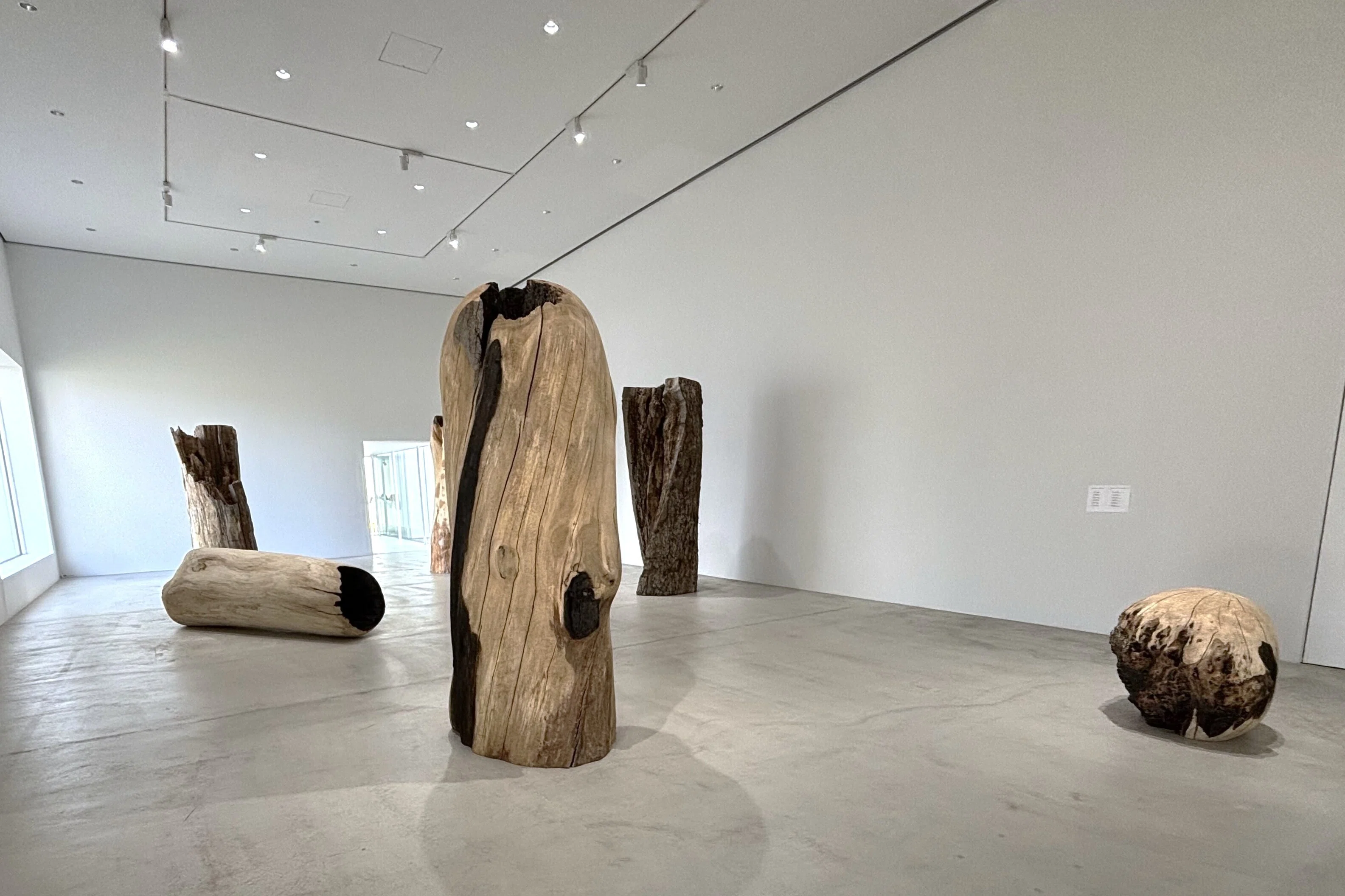 十和田市現代美術館02 国松希根太「連鎖する息吹」｜Abbey -旅するよう