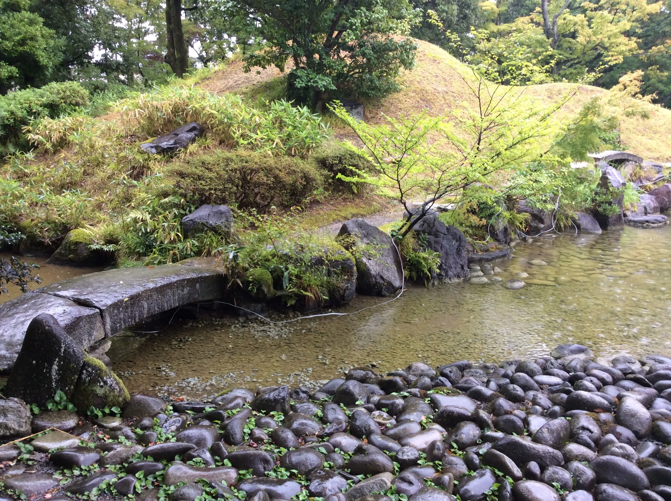 金沢観光③兼六園「最大の謎」に挑む ～福井での事例をもとに