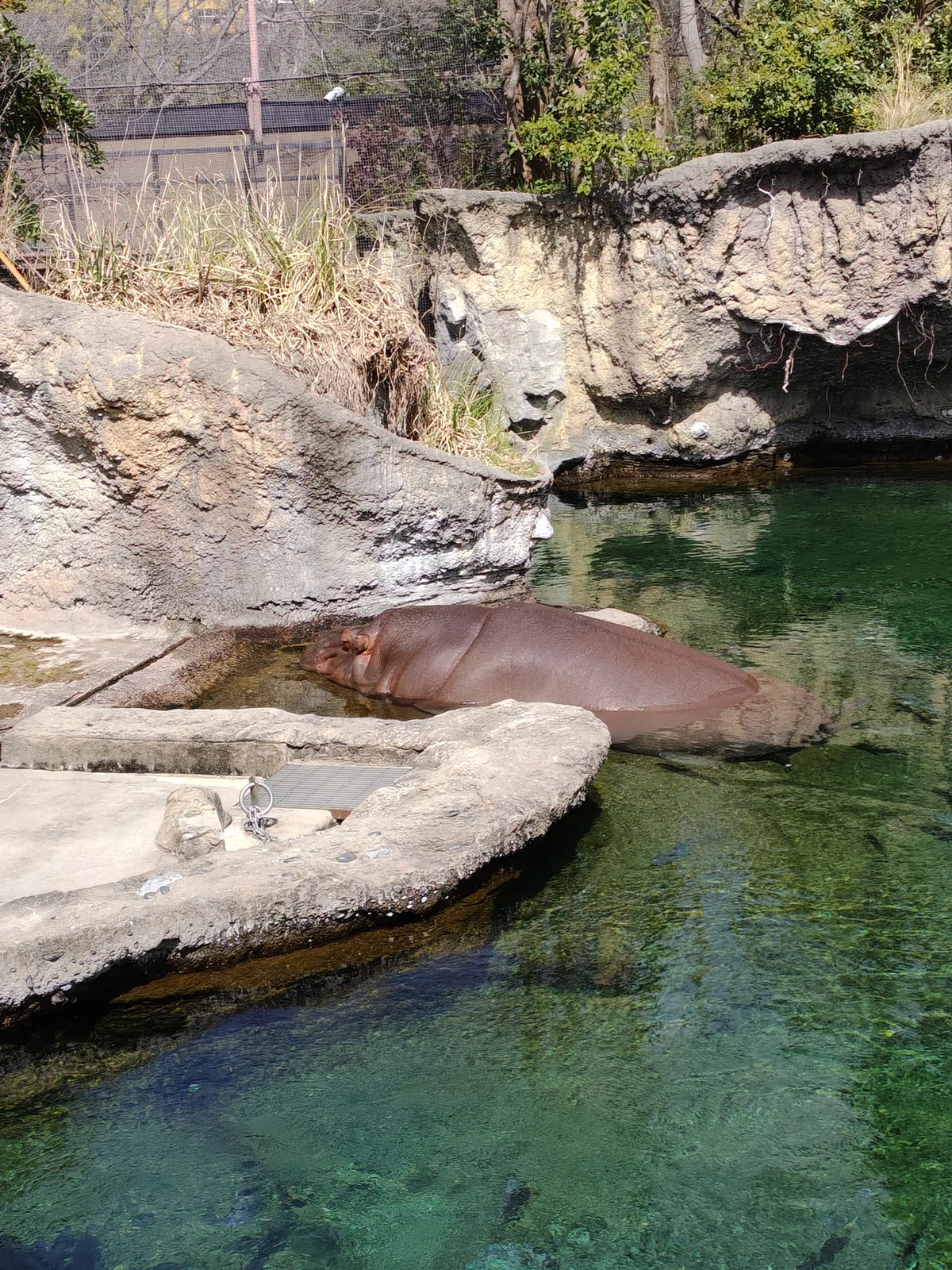 Positive Gradient Examples The perfect spot for English writing: the zoo. Apparently, native ...